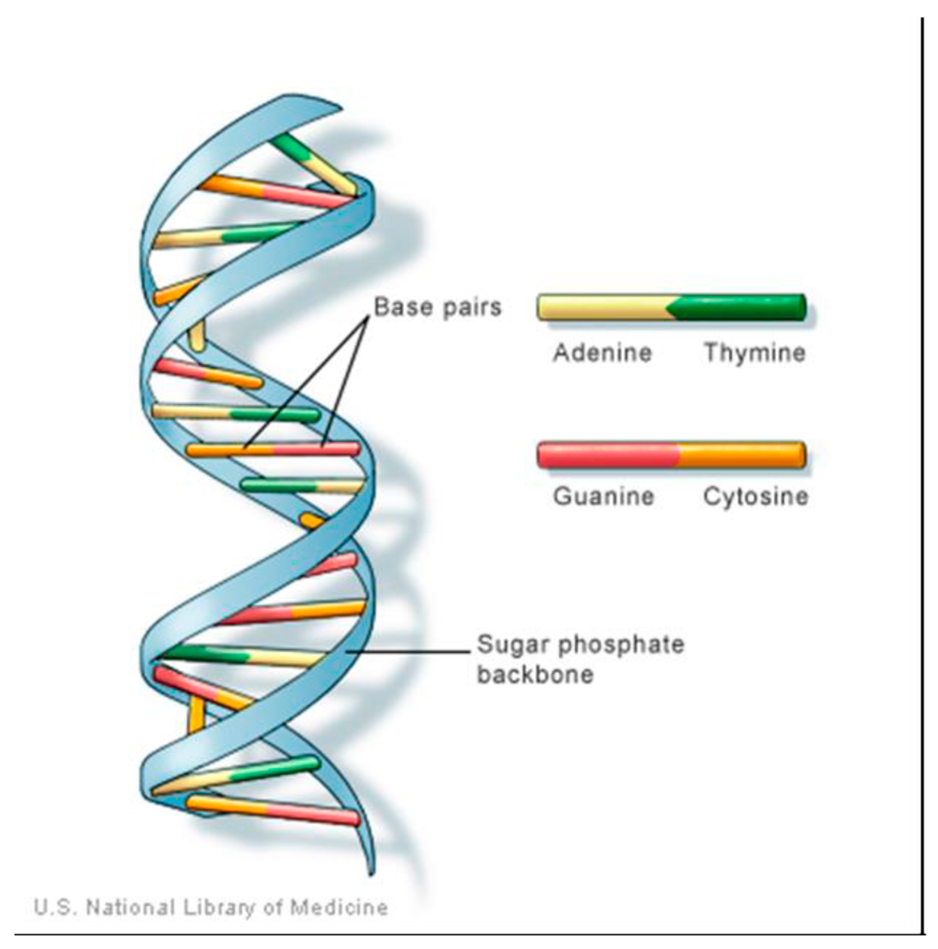 Proceedings 41 00077 g001