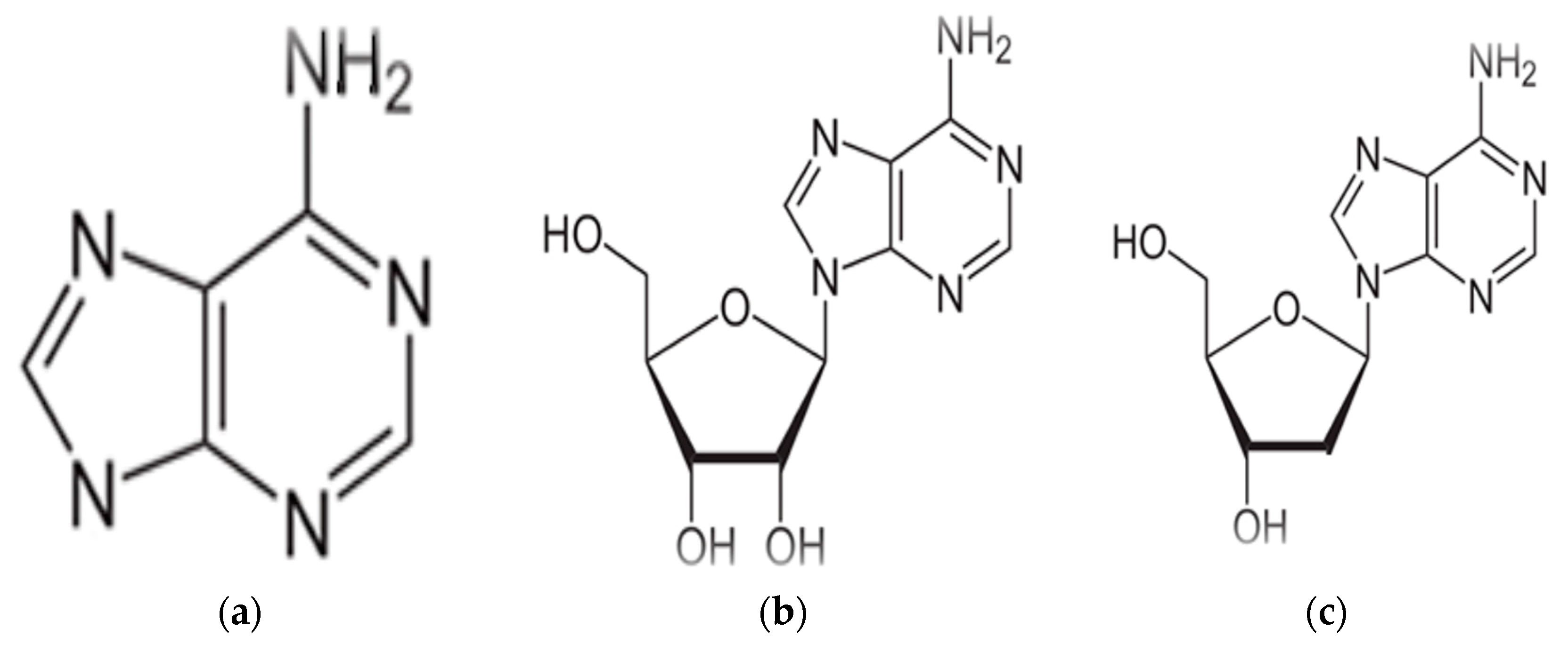 Proceedings 41 00077 g002