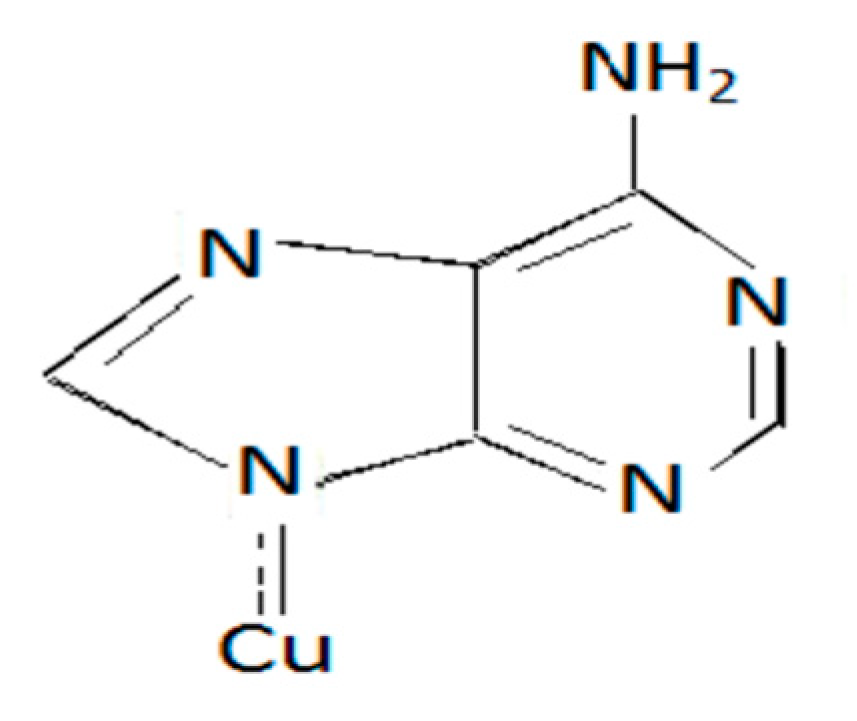 Proceedings 41 00077 g005