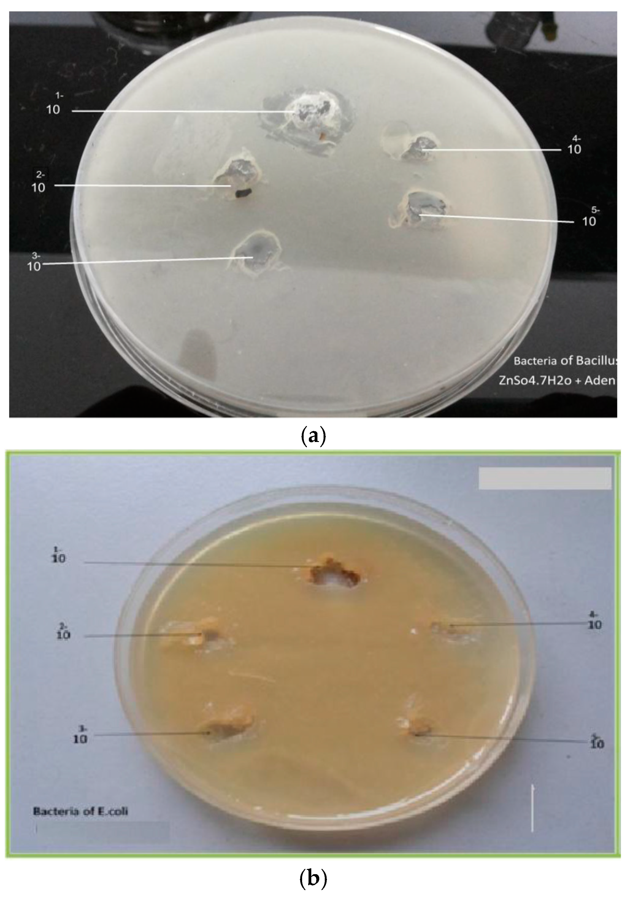 Proceedings 41 00077 g007
