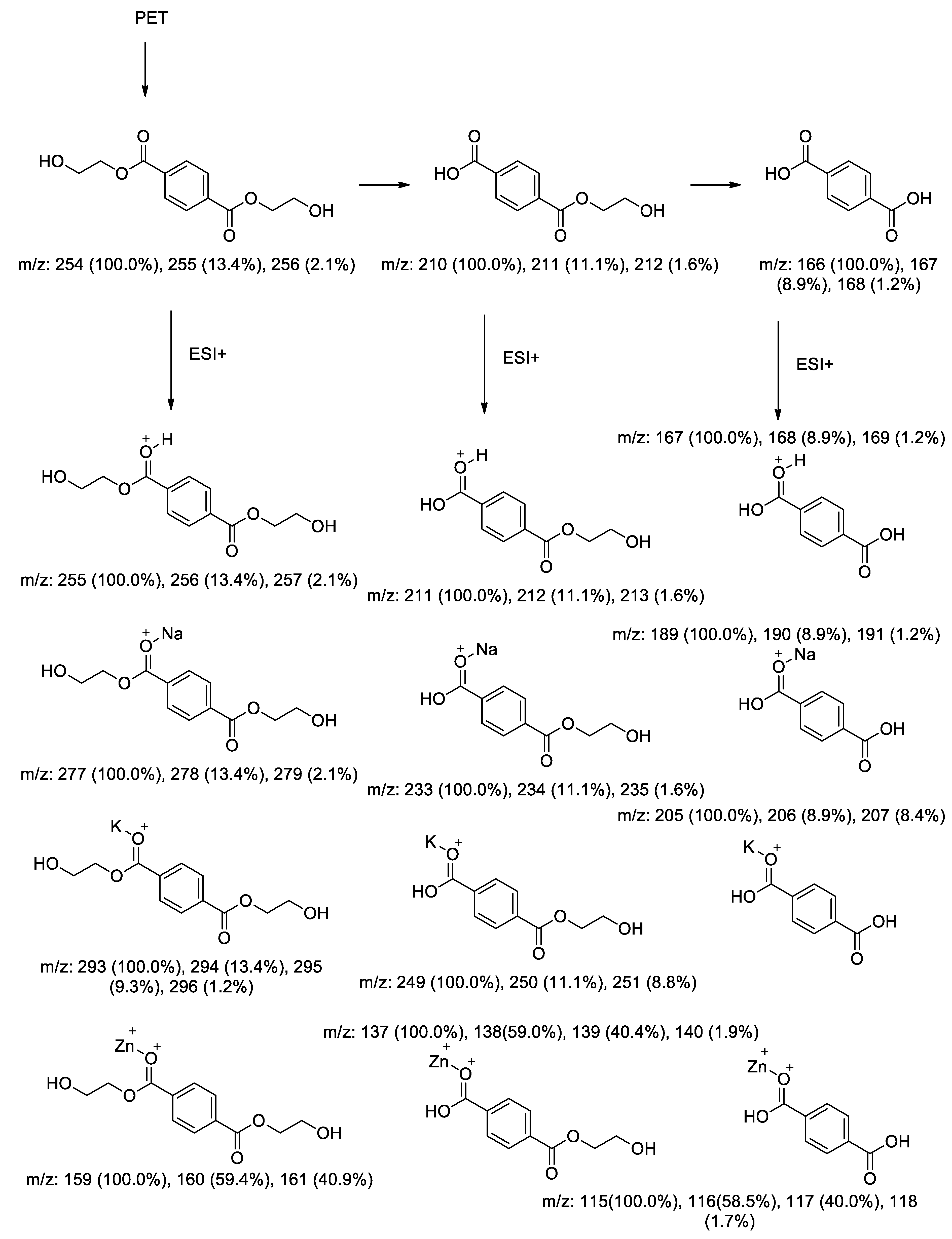 Proceedings 41 00078 sch002