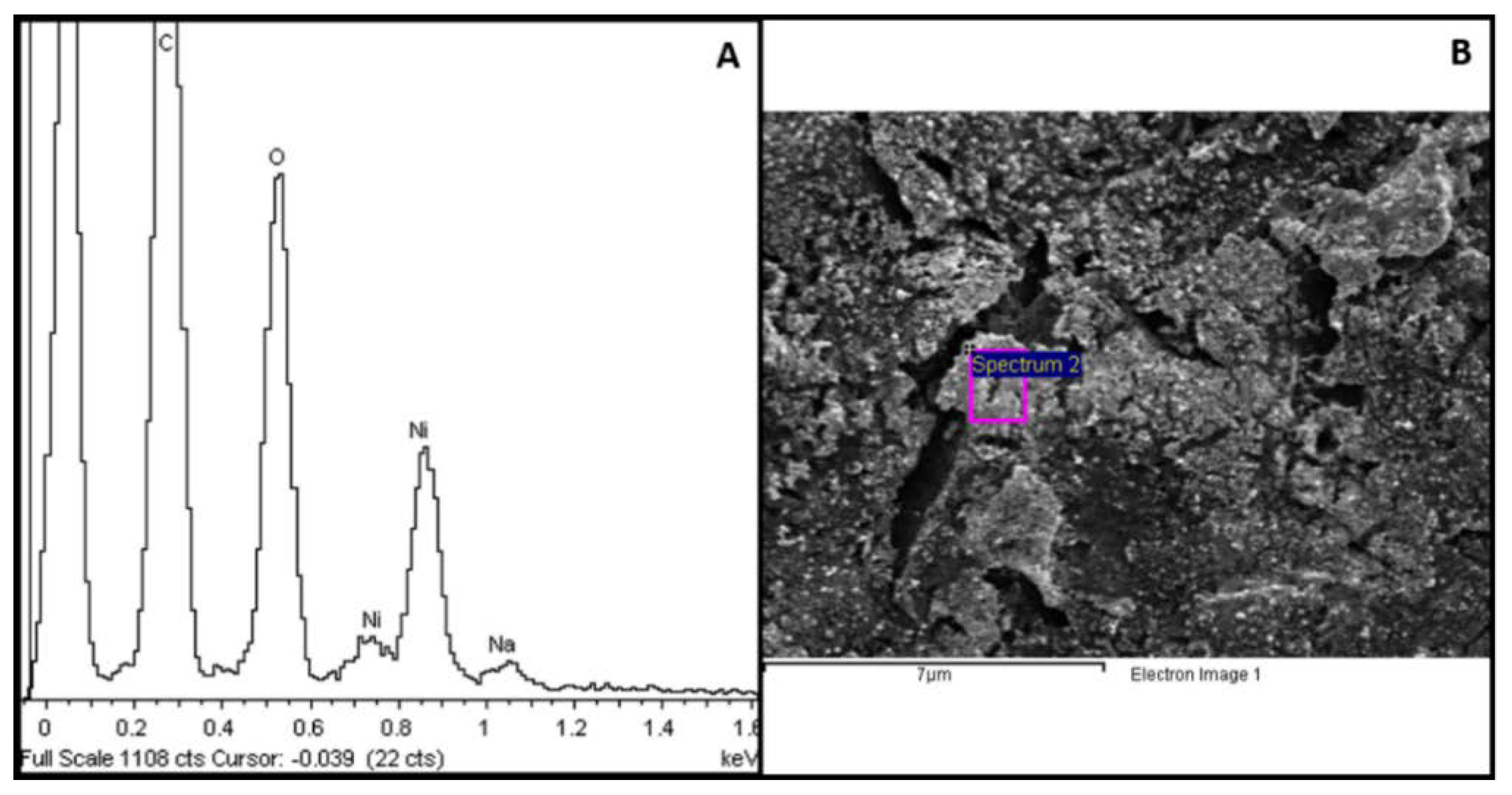 Proceedings 42 00005 g002