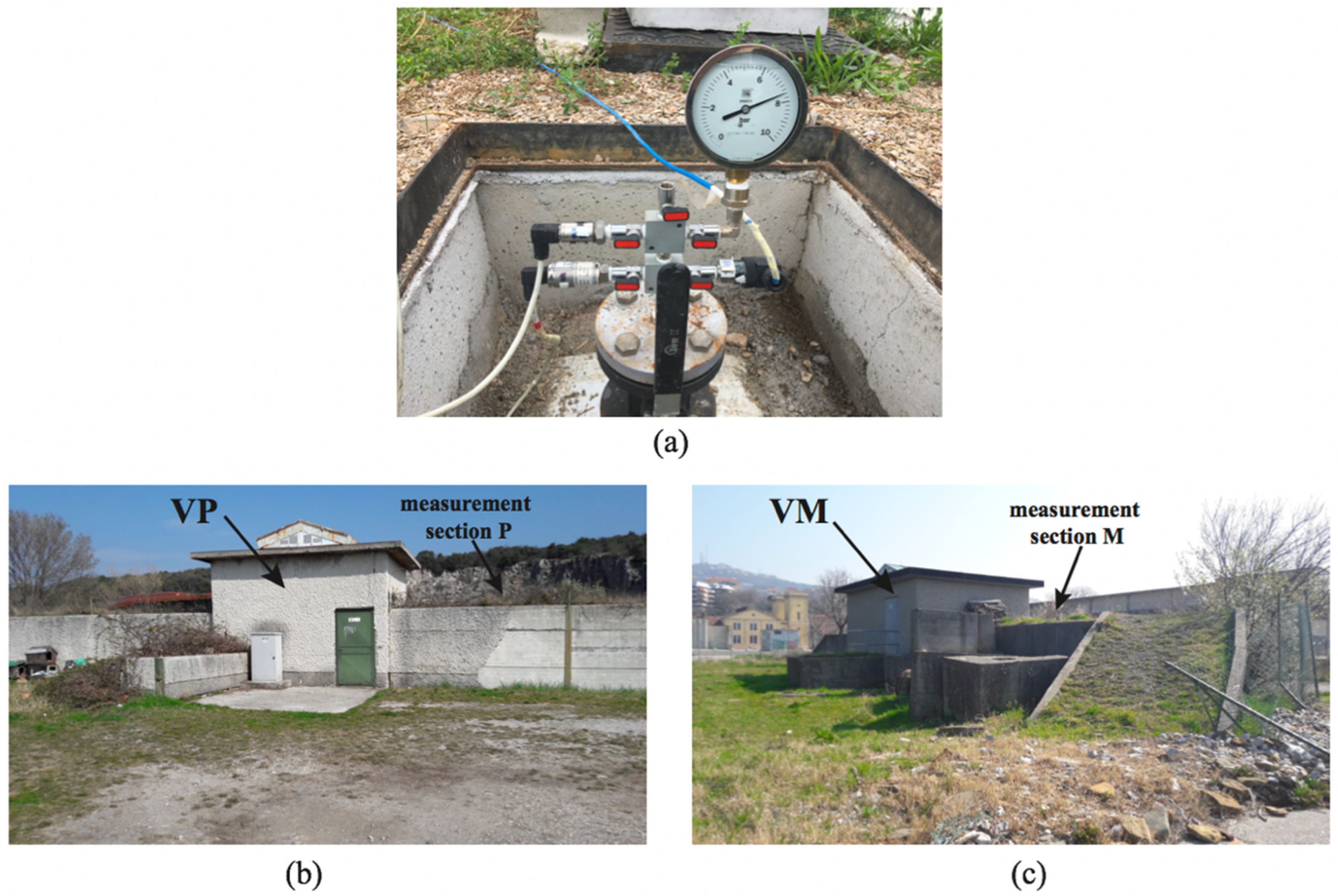 Proceedings 48 00002 g002
