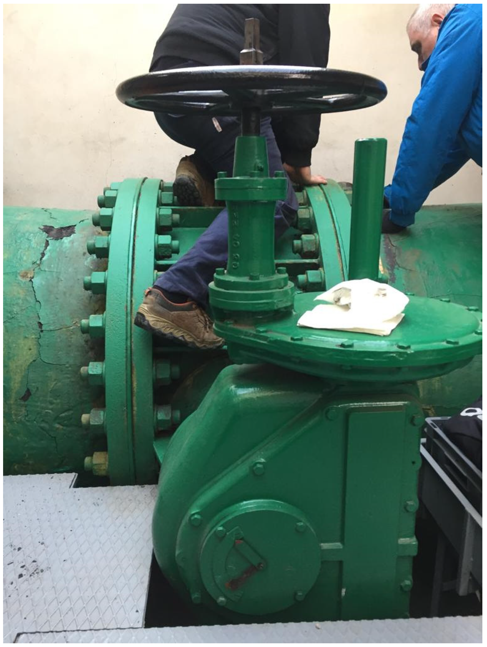 Proceedings 48 00002 g004