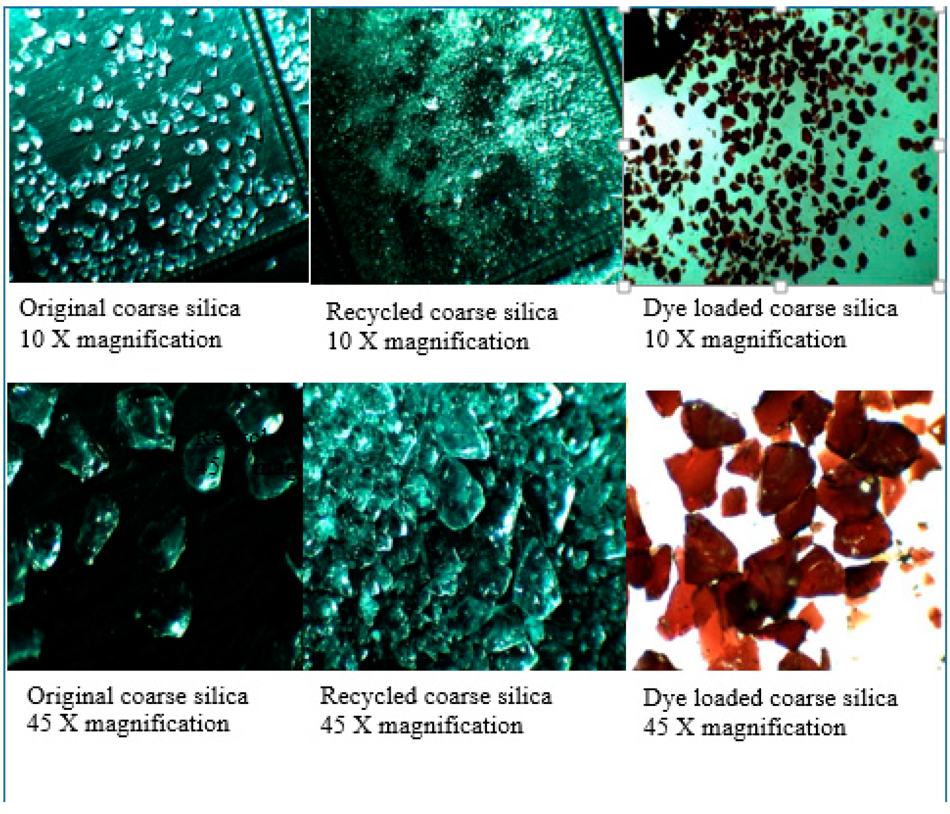 Proceedings 48 00010 g002