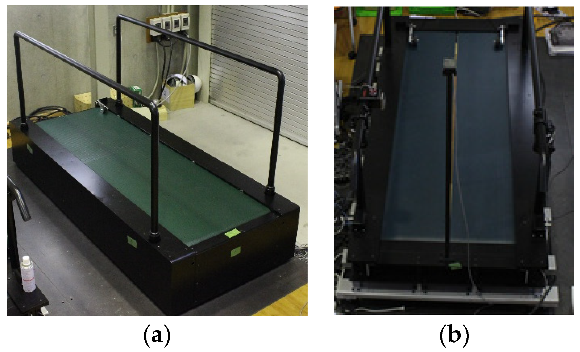 Proceedings 49 00014 g001