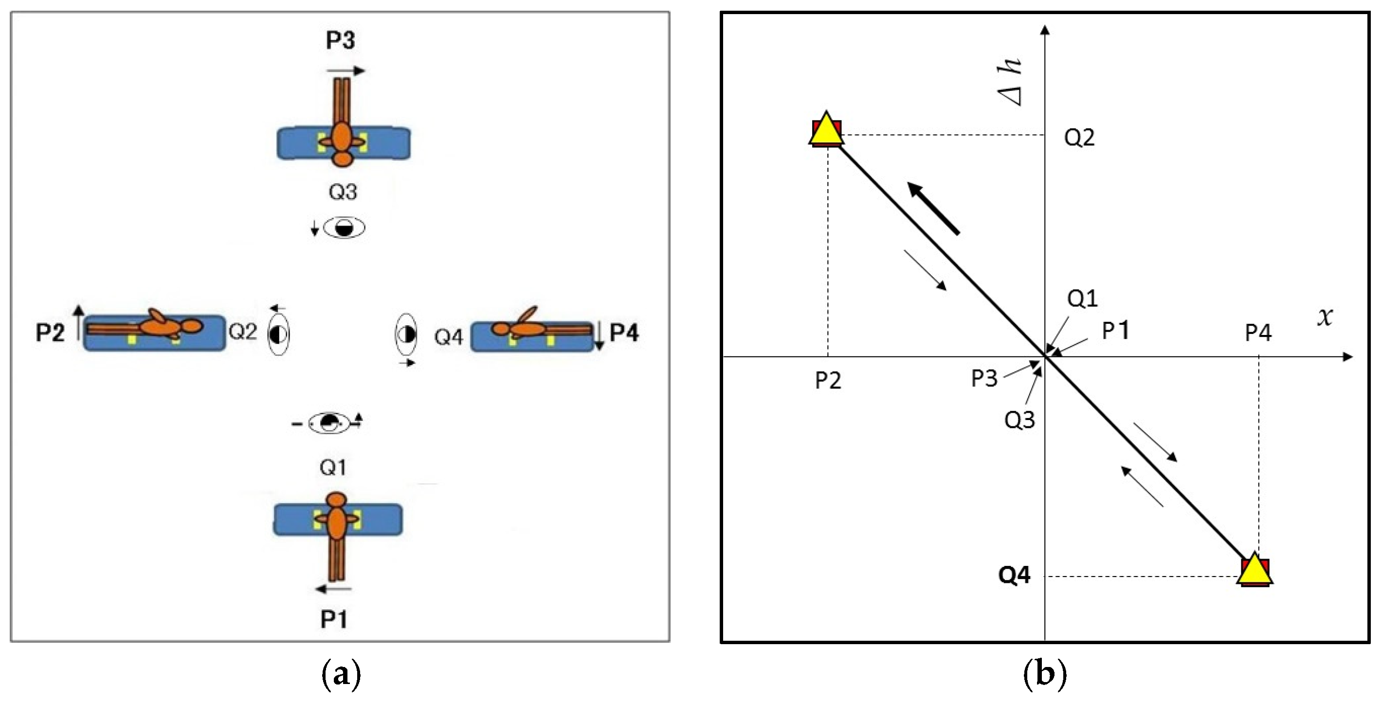 Proceedings 49 00031 g001