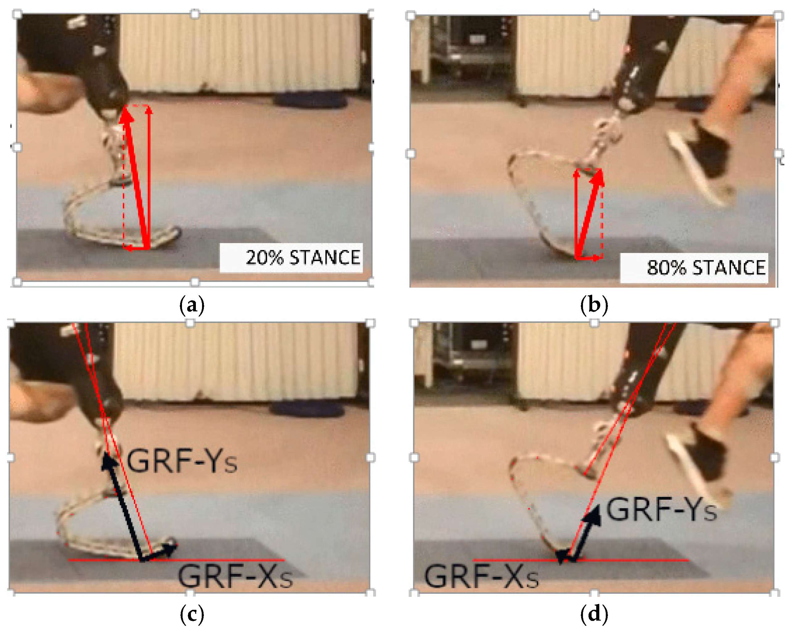 Proceedings 49 00075 g001