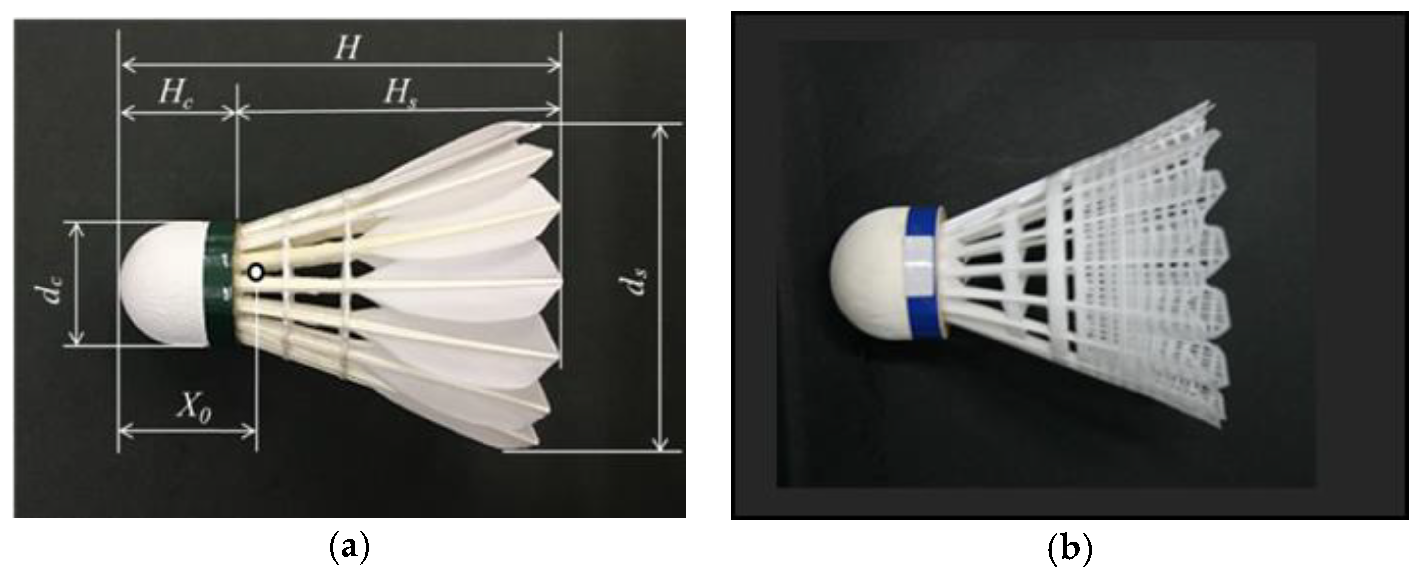 Proceedings 49 00104 g002