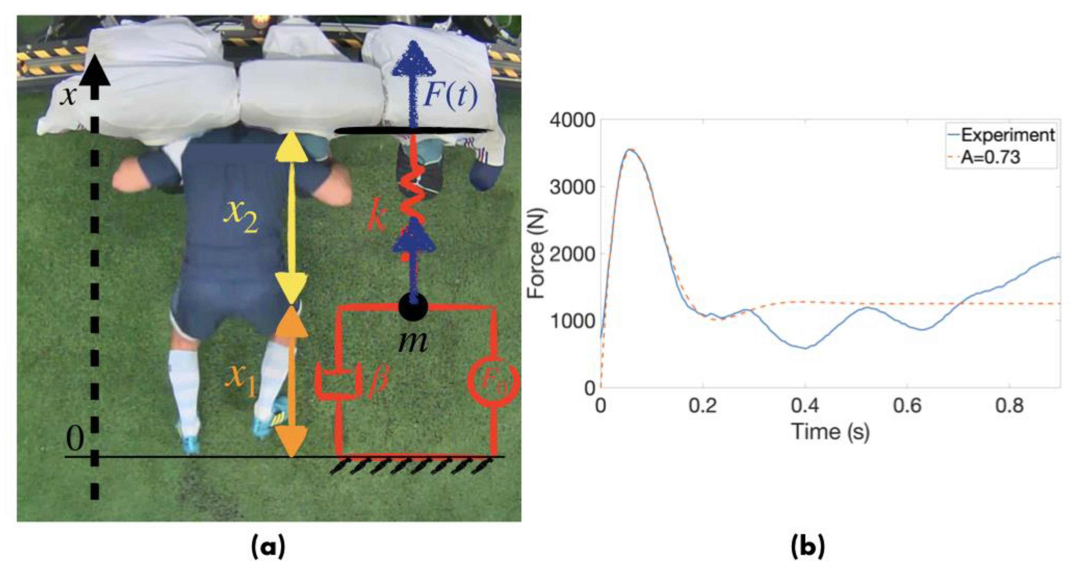 Proceedings 49 00151 g003