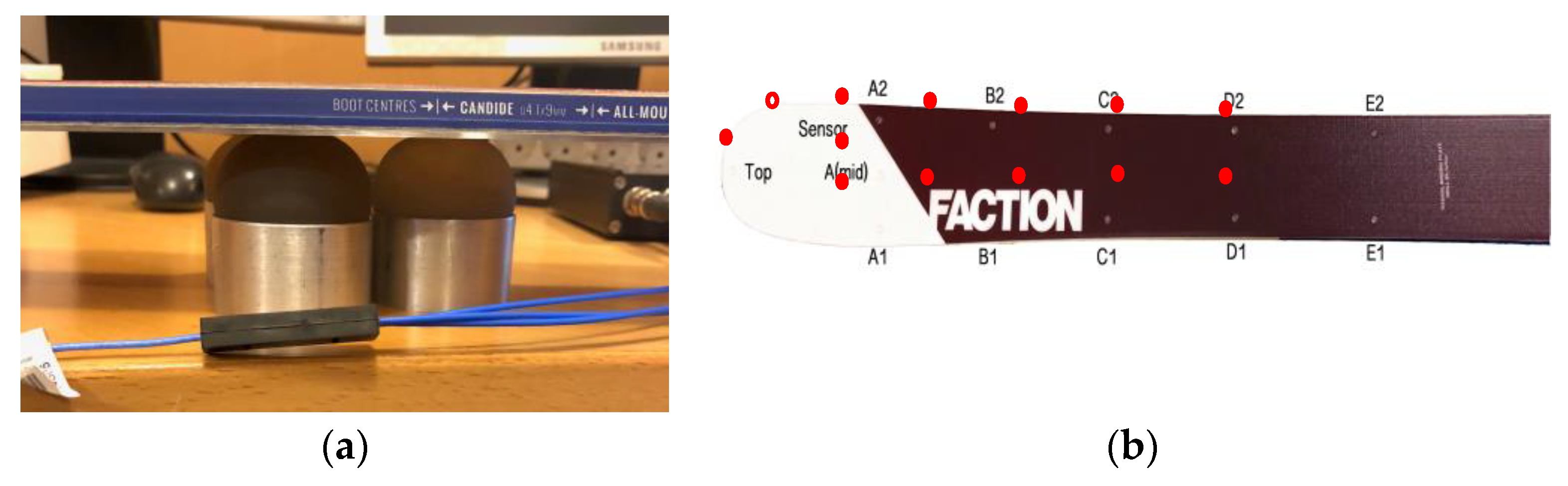 Proceedings 49 00157 g003