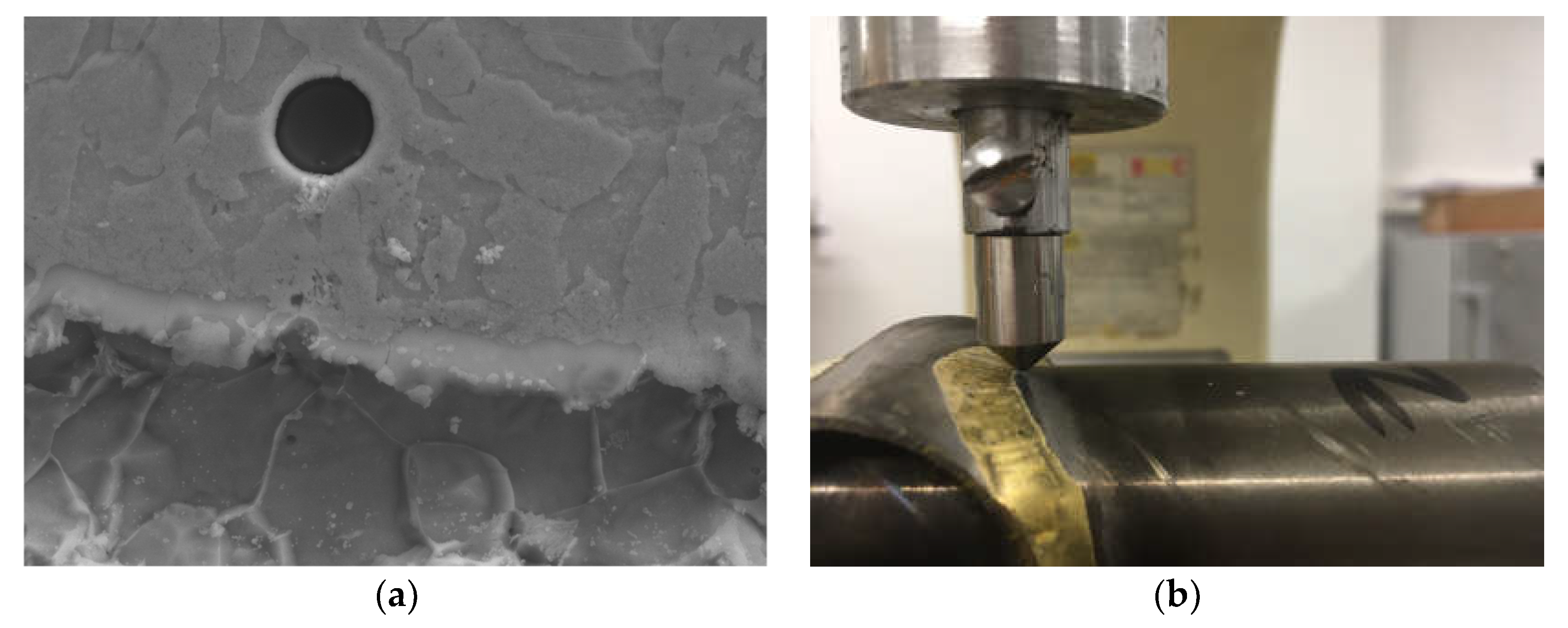 Proceedings 49 00166 g003