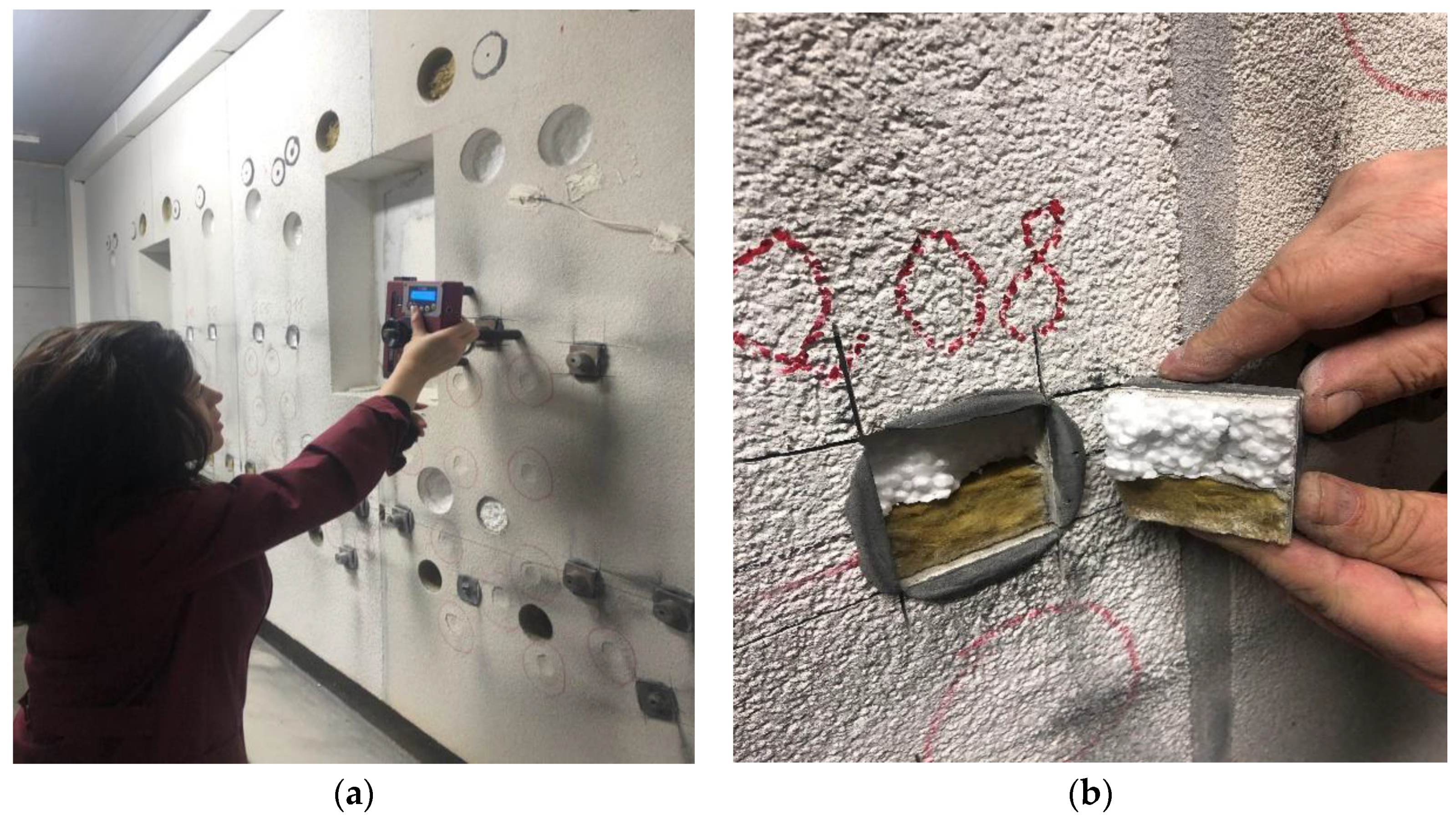 Proceedings 51 00016 g002