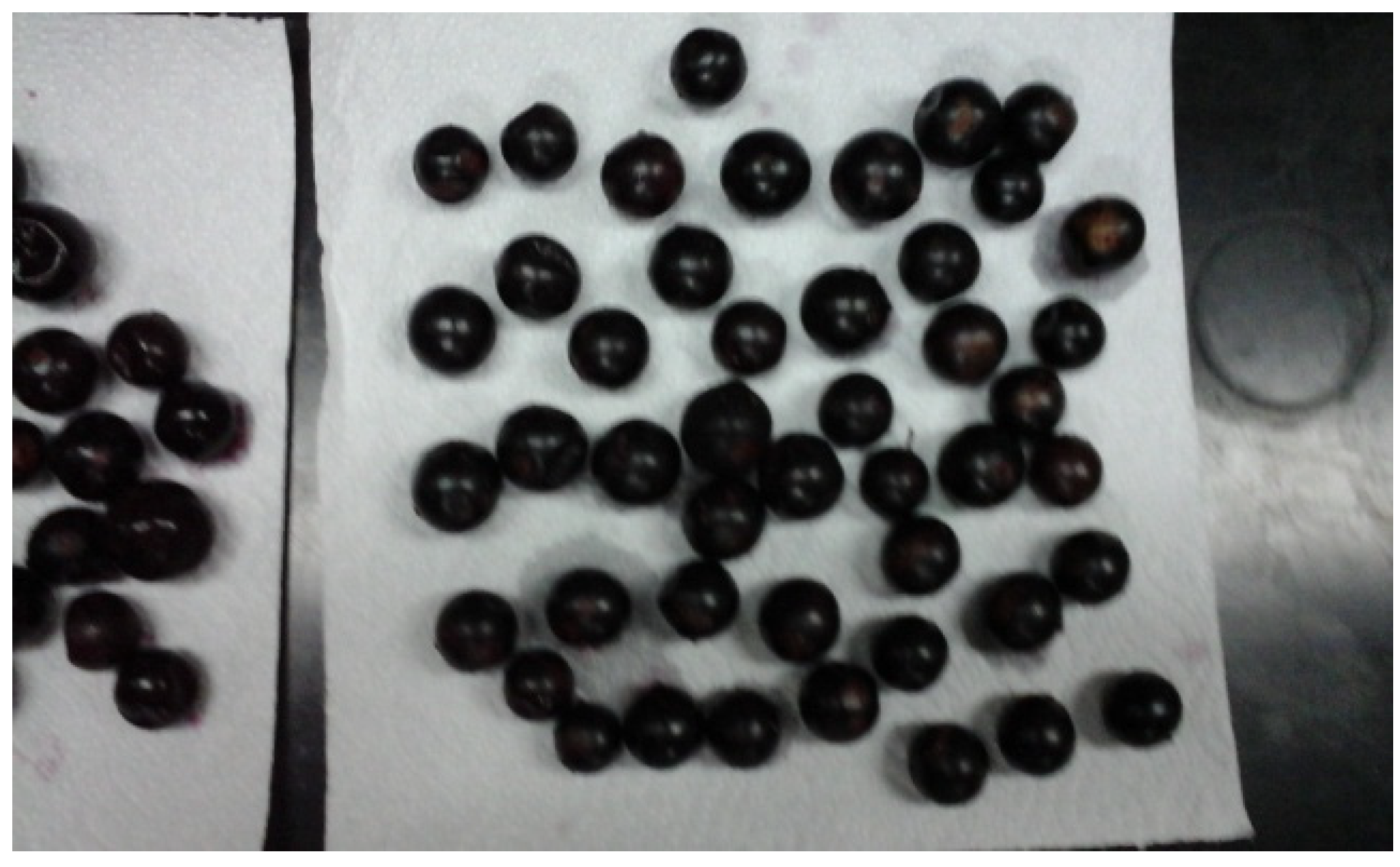 Proceedings 53 00009 g001