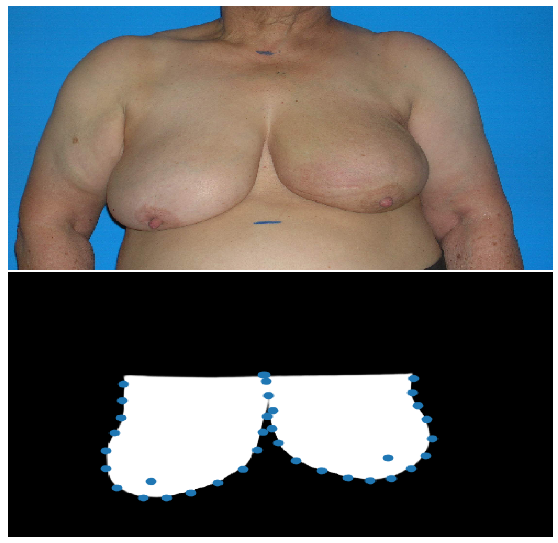 Proceedings 54 00035 g002