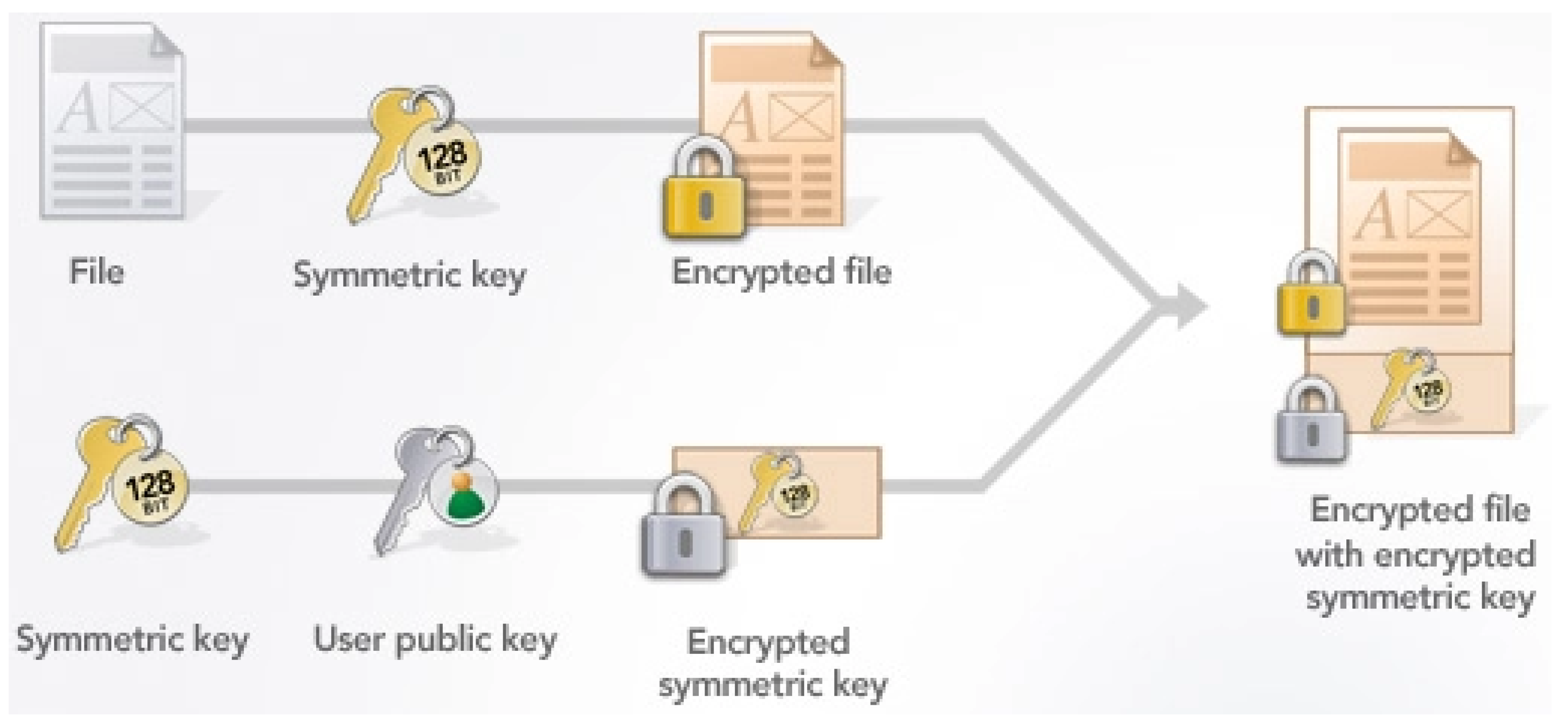 Proceedings 54 00049 g001