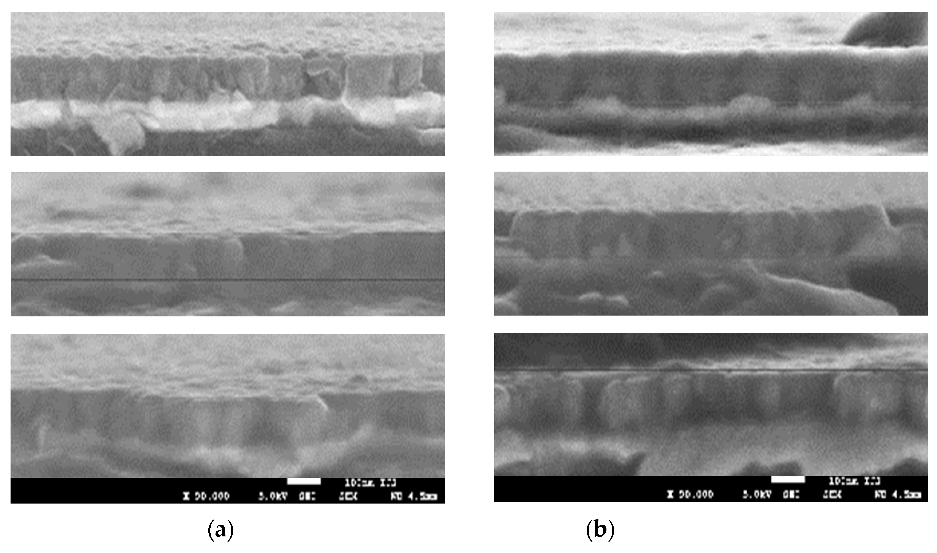 Proceedings 56 00009 g002