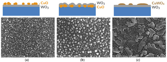 Proceedings 56 00038 g001
