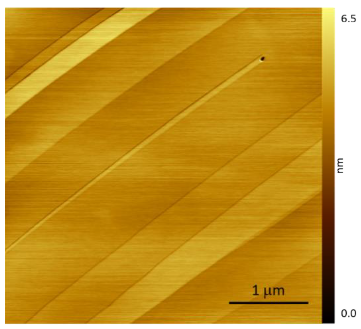 Proceedings 56 00044 g004