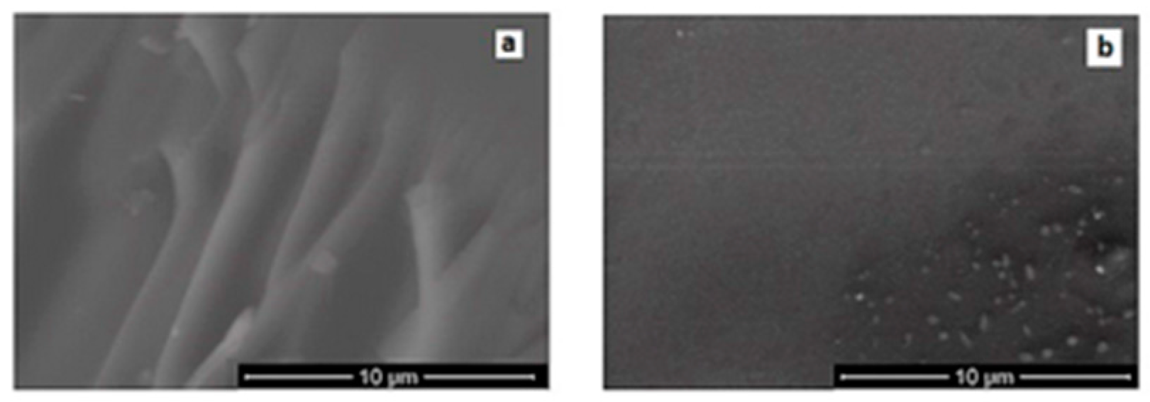 Proceedings 57 00055 g001