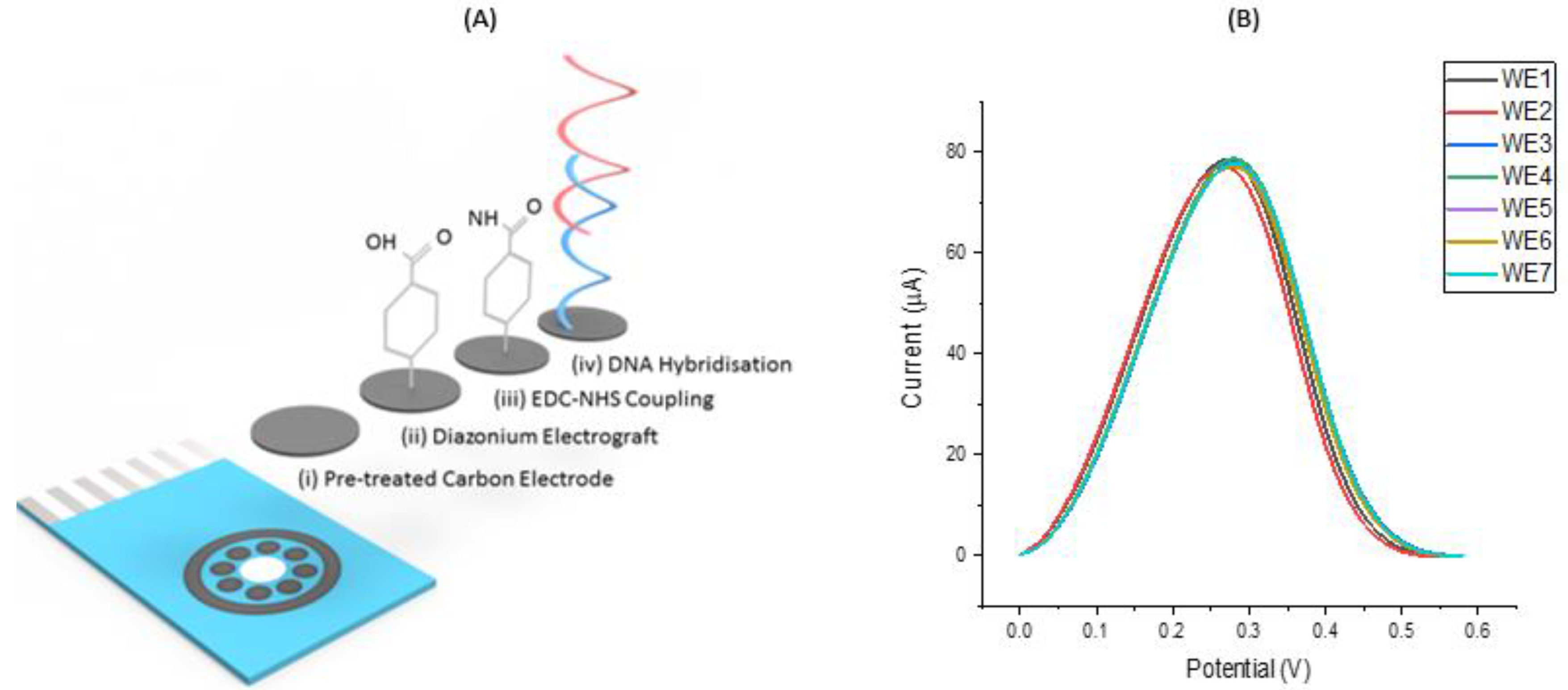Proceedings 60 00015 g001
