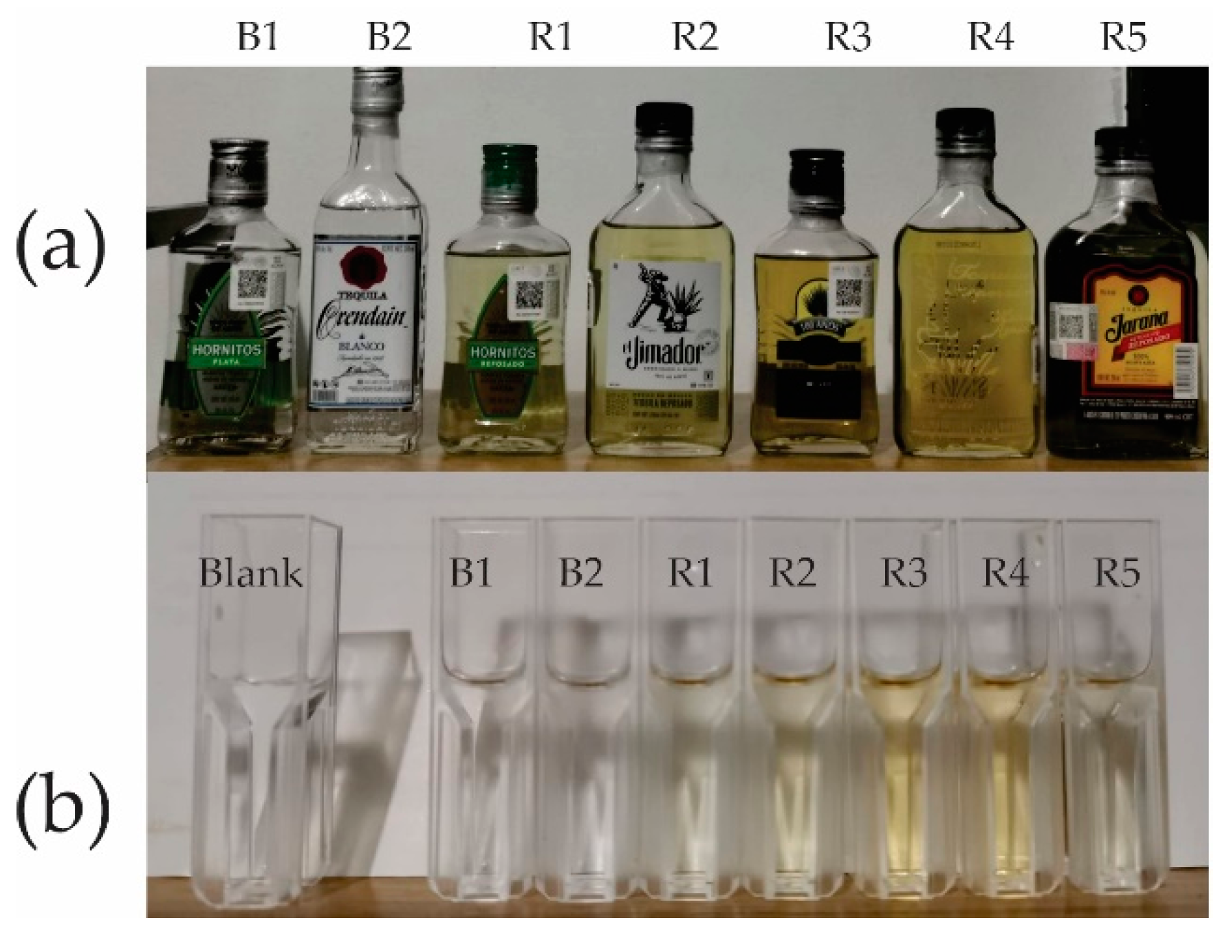 Proceedings 60 00044 g003