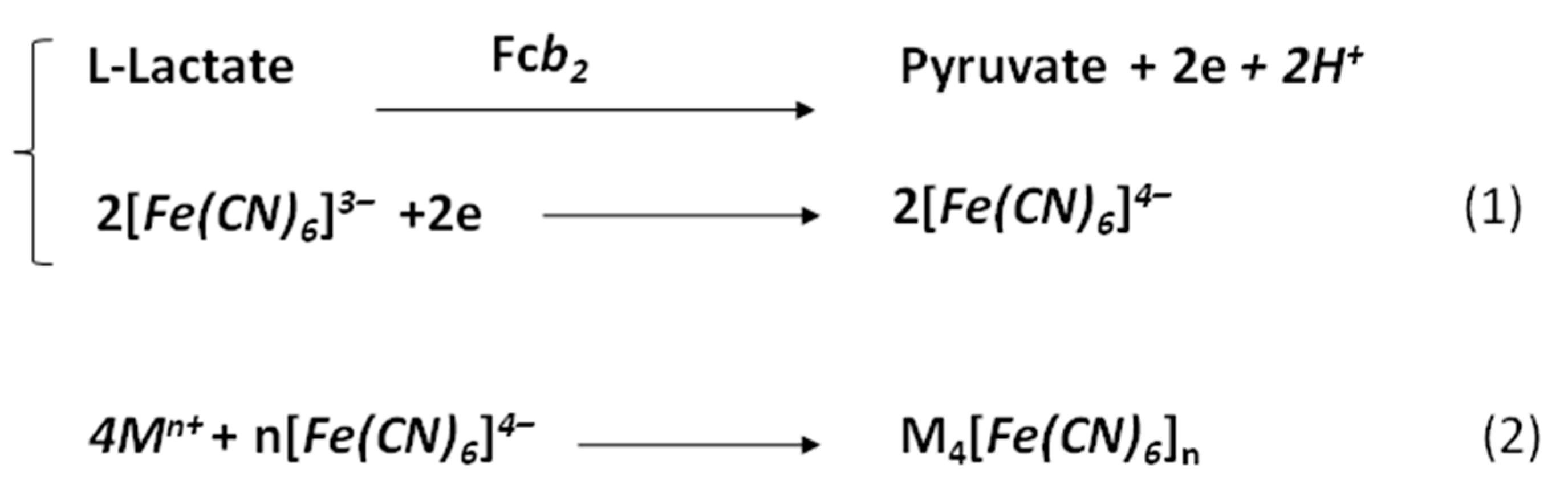 Proceedings 60 00058 g001