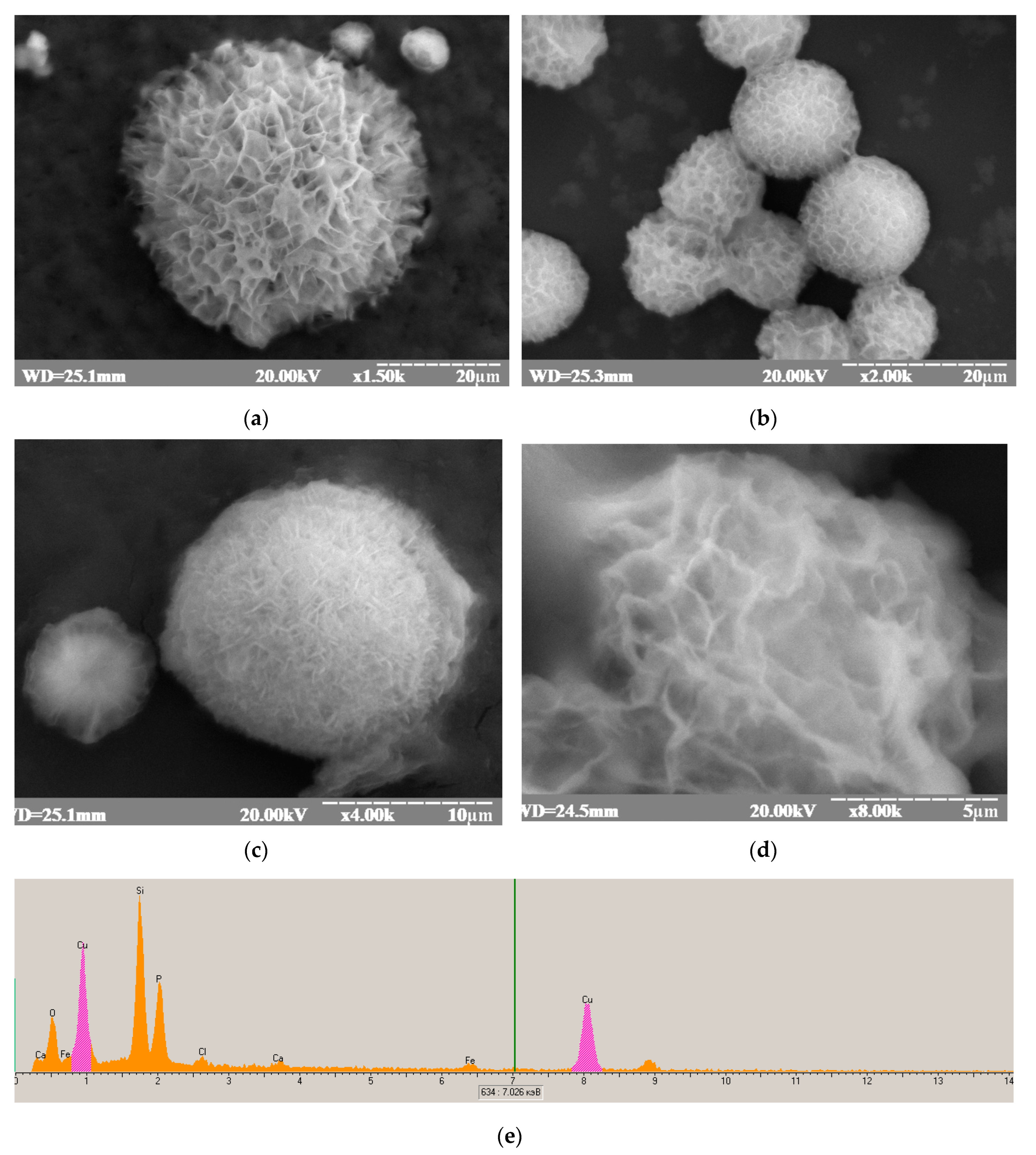 Proceedings 60 00058 g006