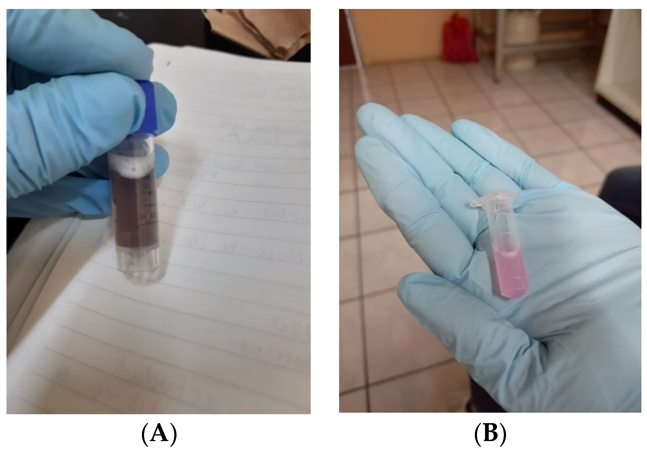 Proceedings 61 00022 g001