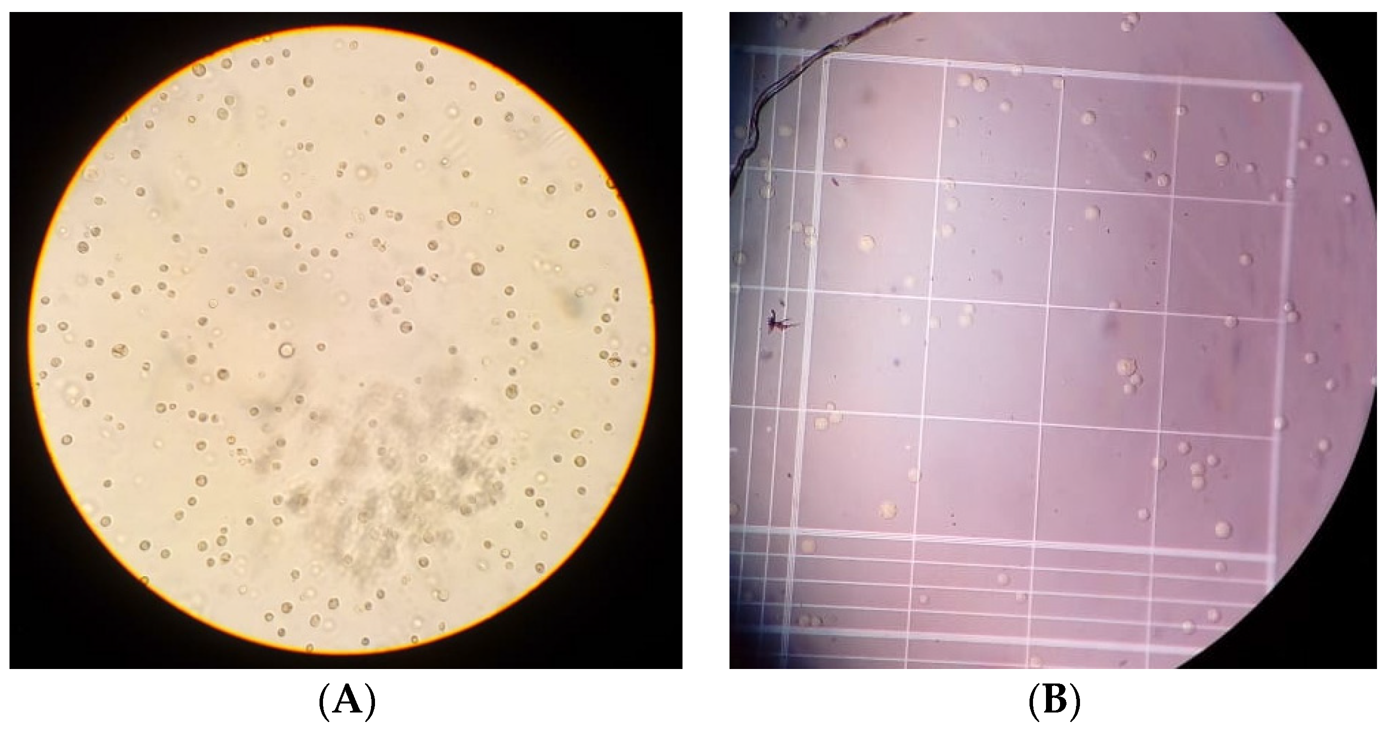 Proceedings 61 00022 g002