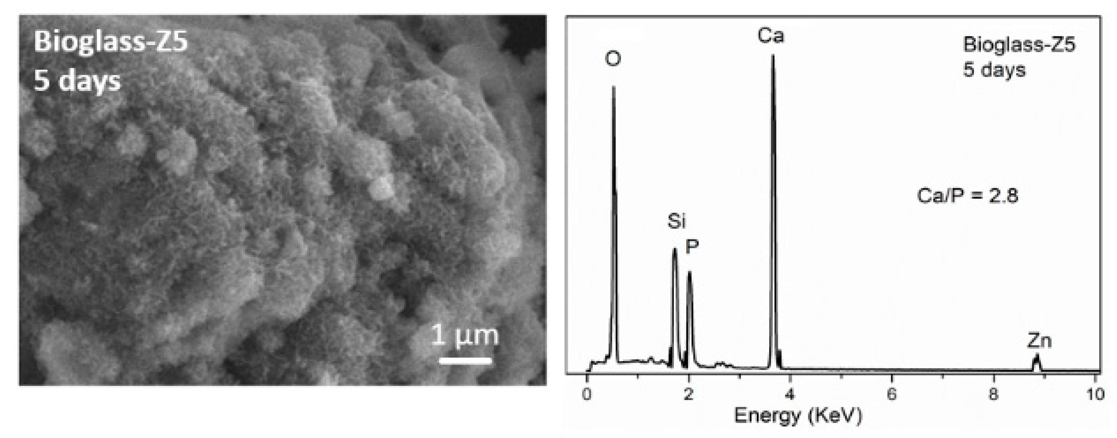Proceedings 62 00006 g005b