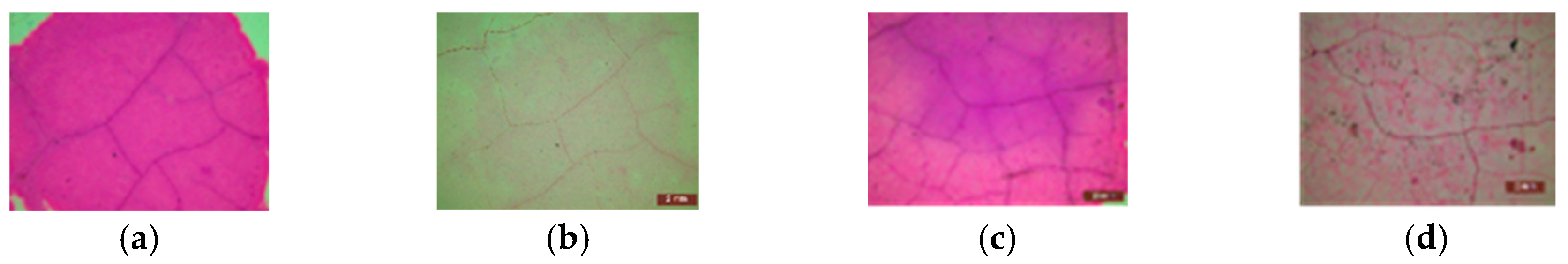 Proceedings 63 00042 g007