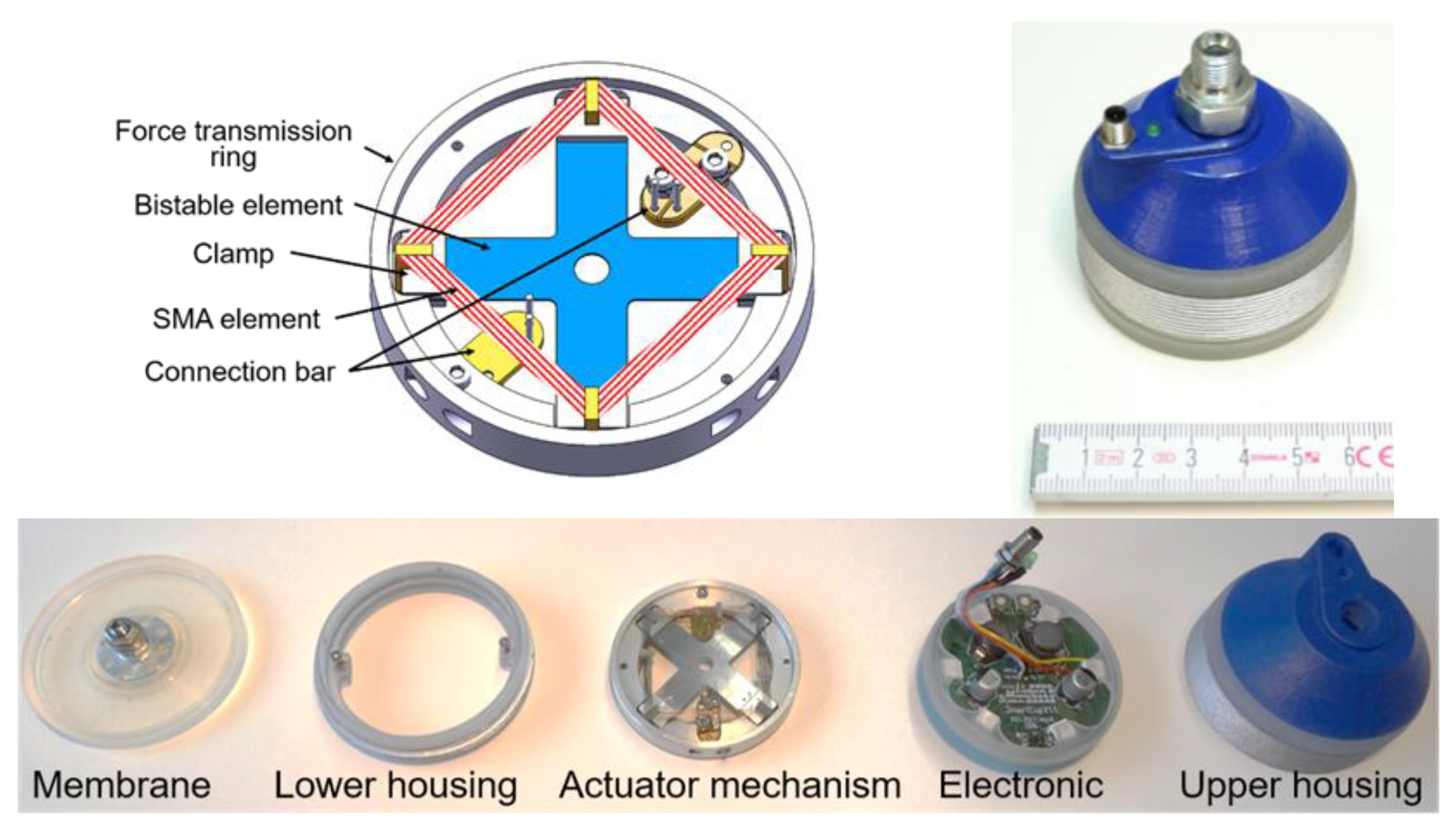 Proceedings 64 00020 g005