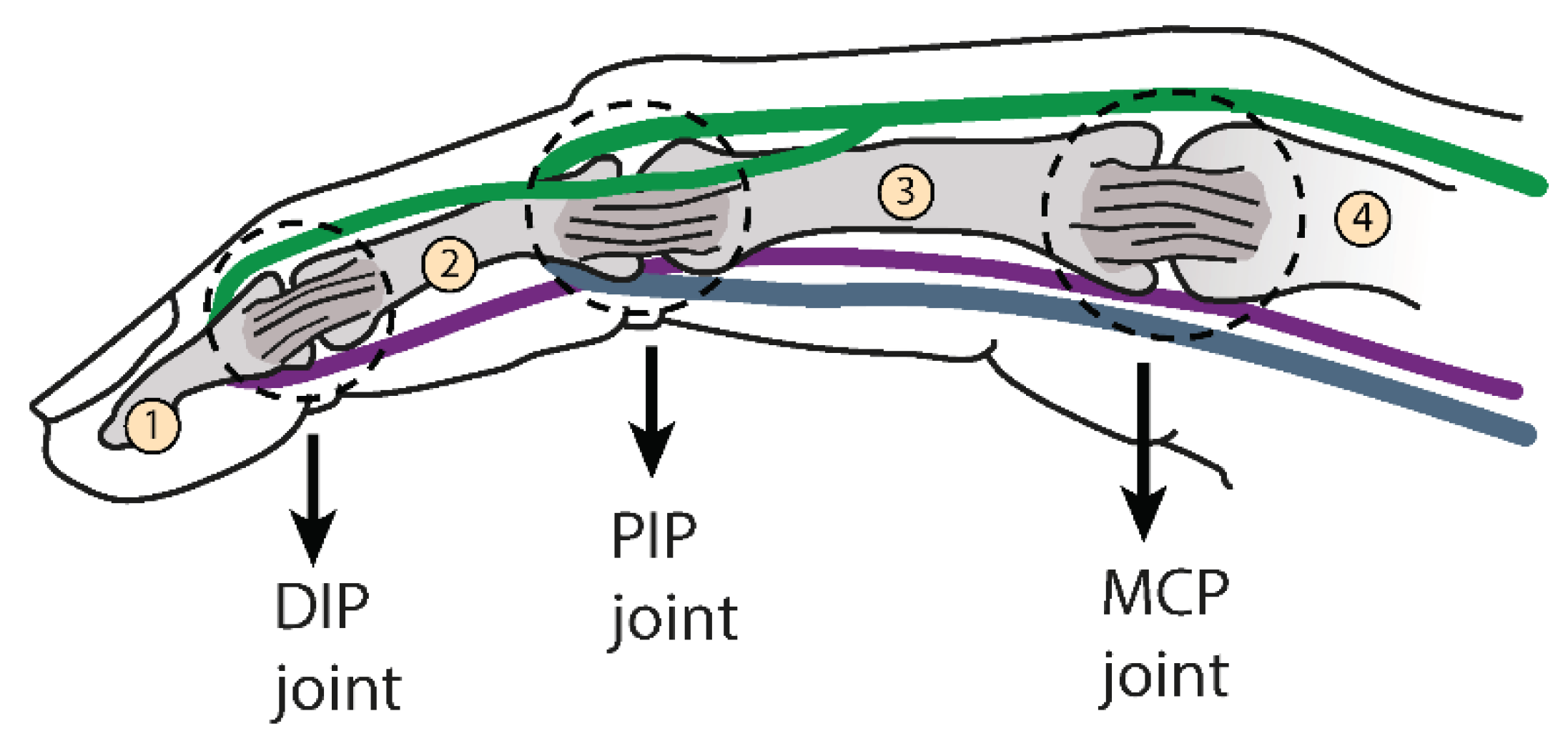 Proceedings 64 00021 g001