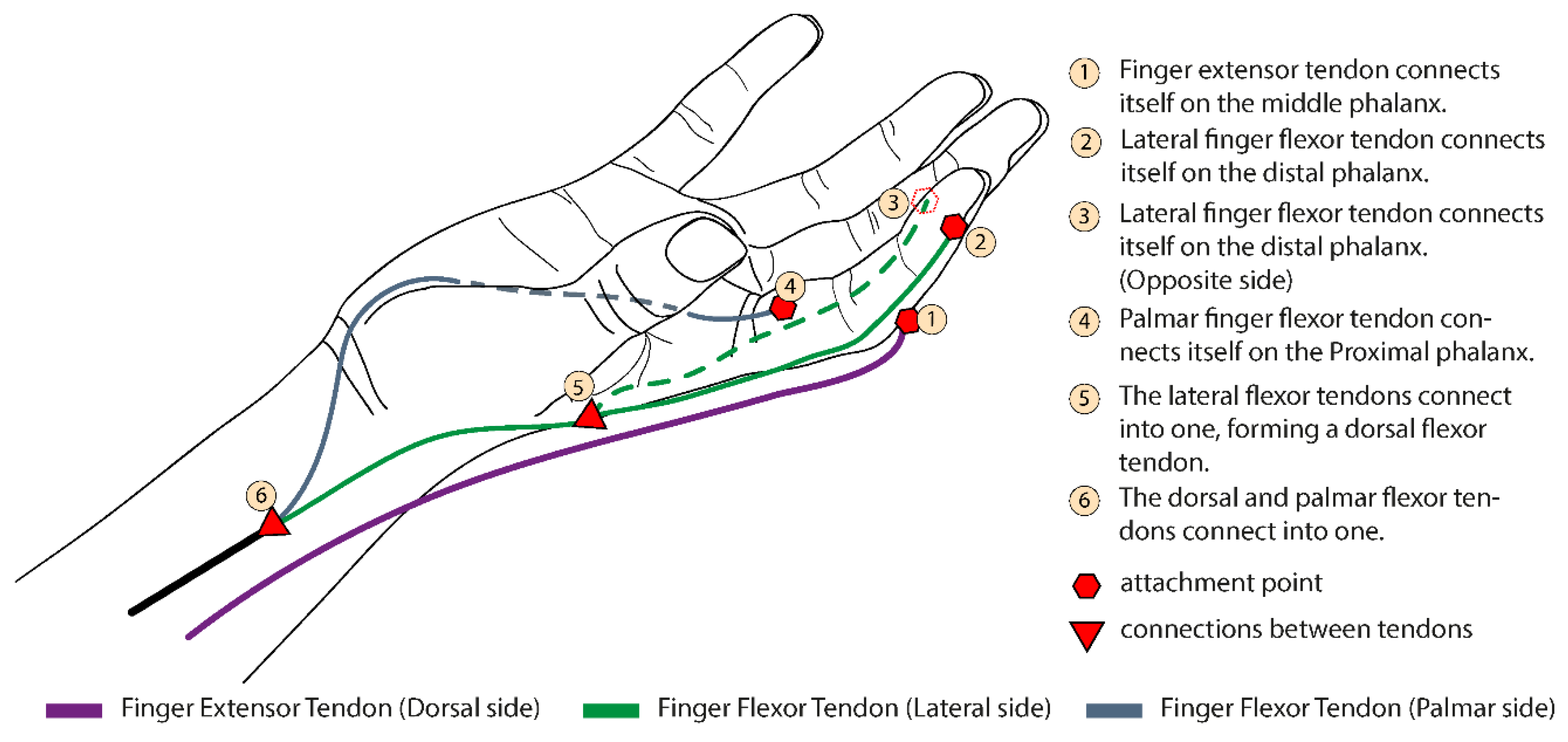 Proceedings 64 00021 g002