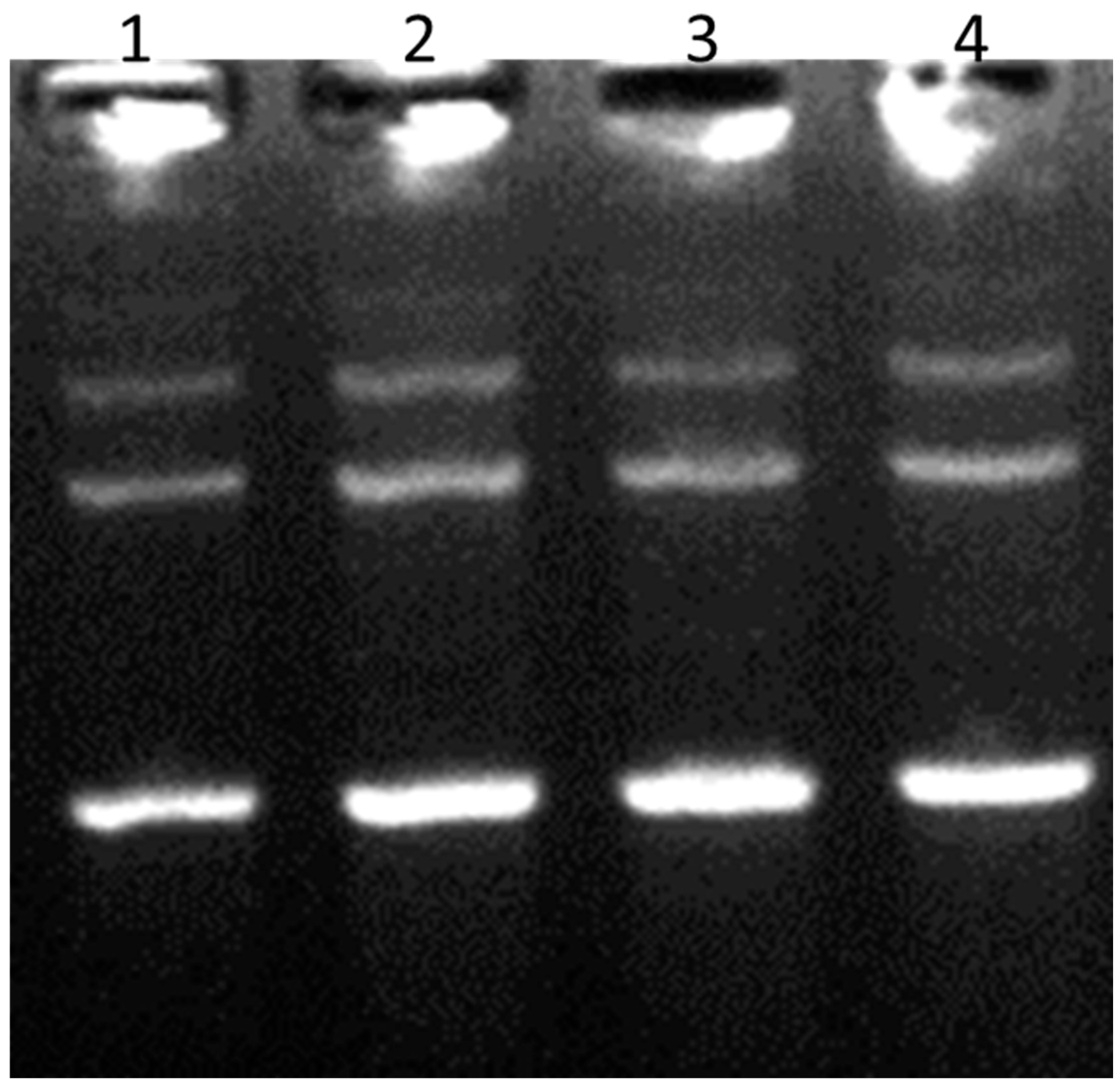 Proceedings 66 00026 g003