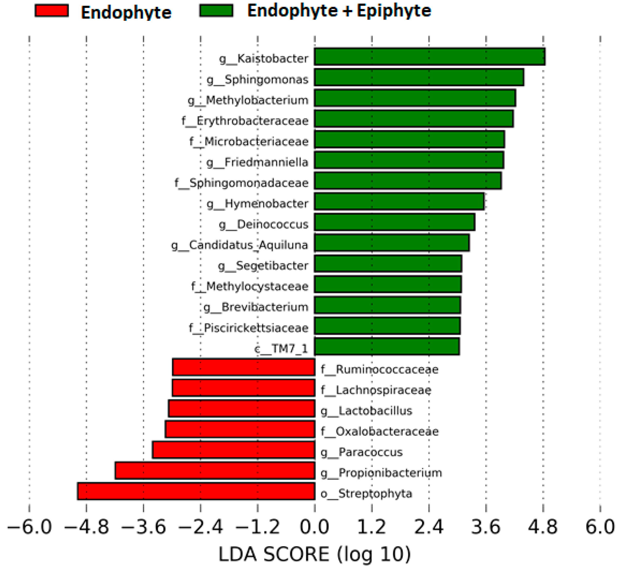 Proceedings 66 00034 g003