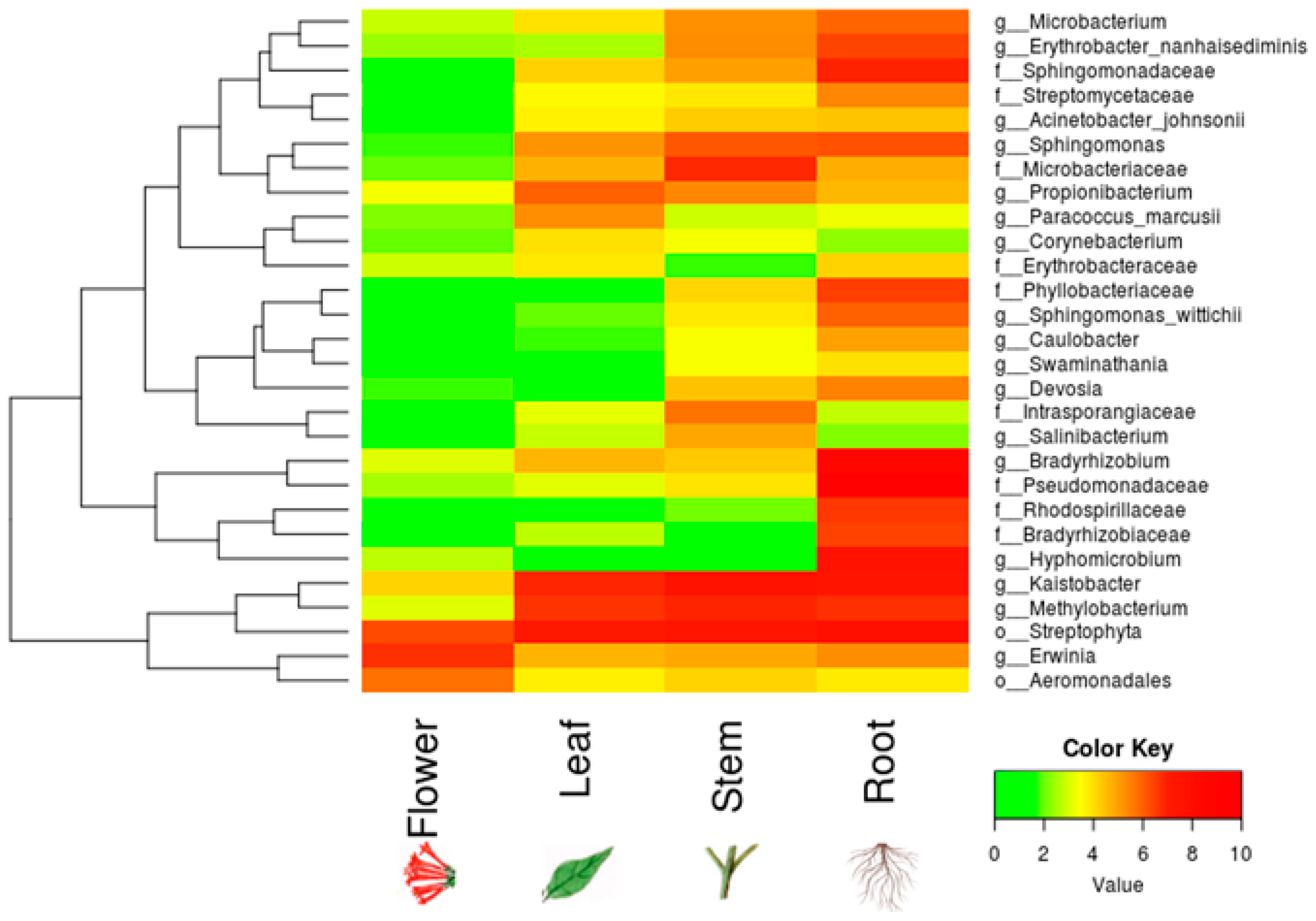 Proceedings 66 00034 g004