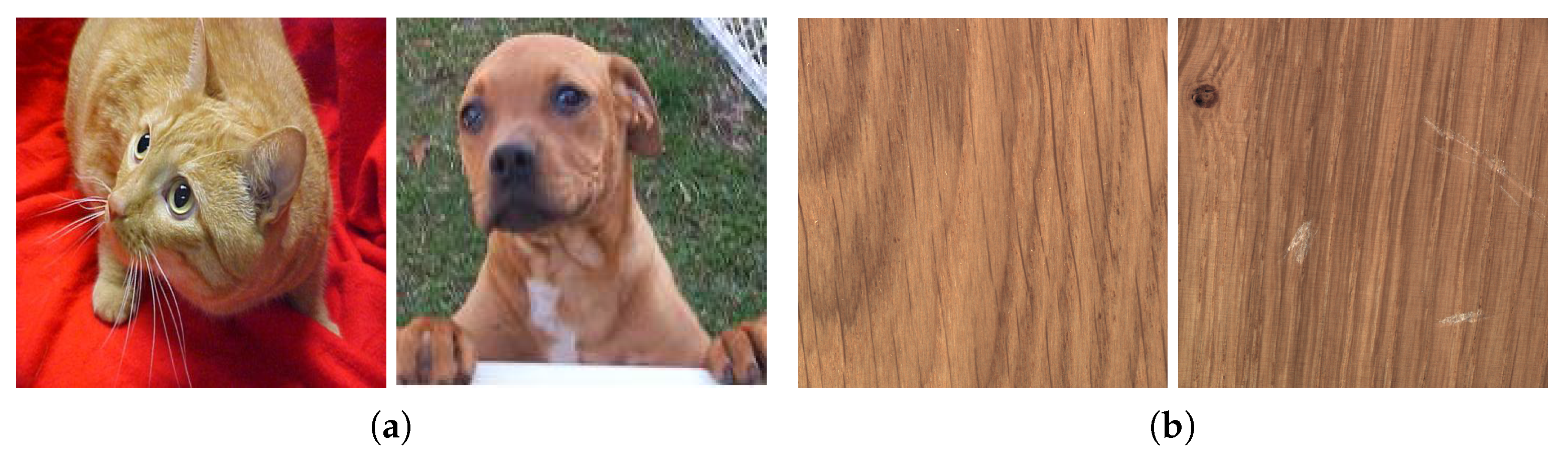 Proceedings 67 00021 g001