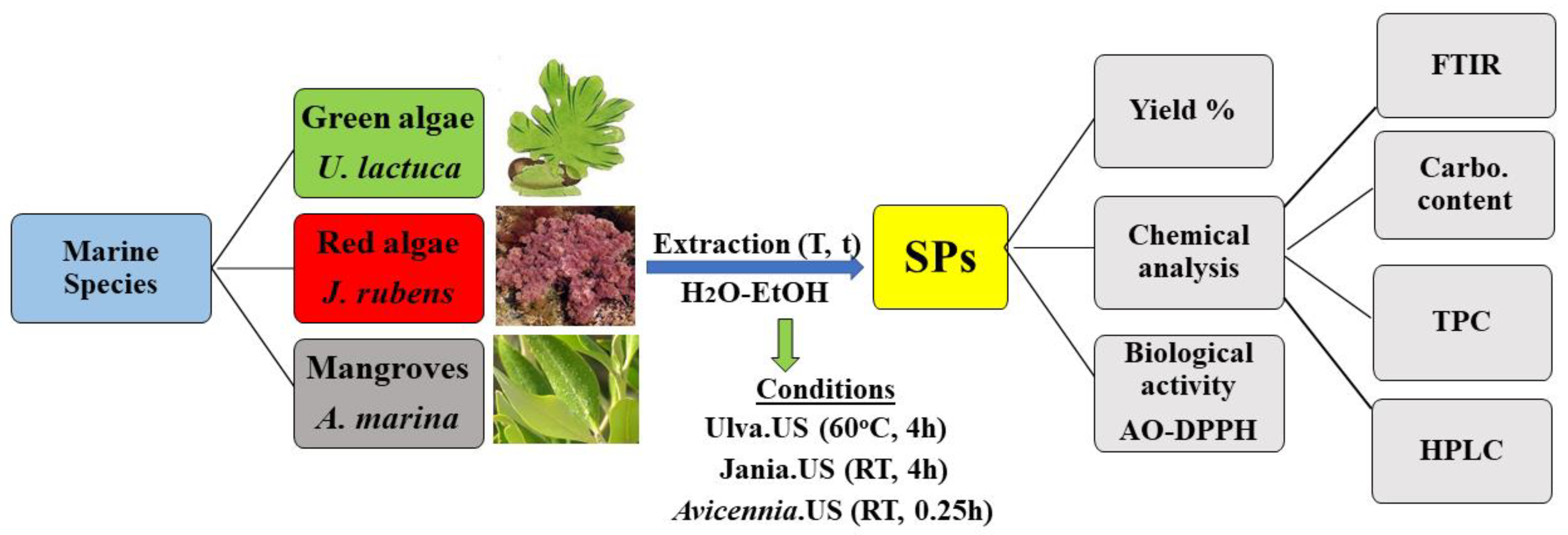 Proceedings 67 00023 g001