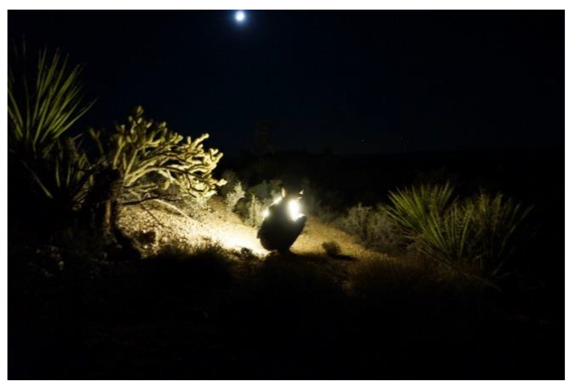 Proceedings 68 00014 g002