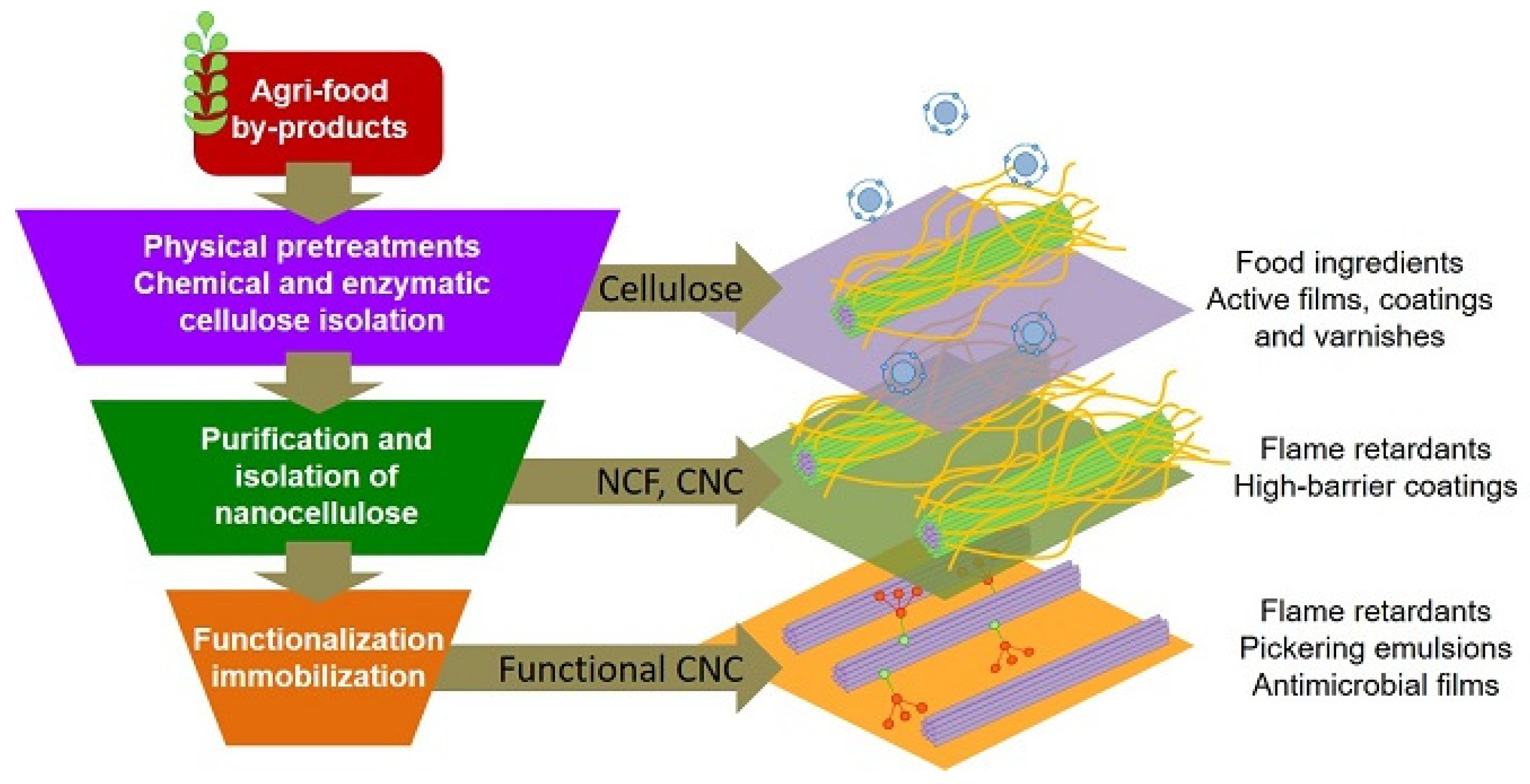 Proceedings 69 00016 g001