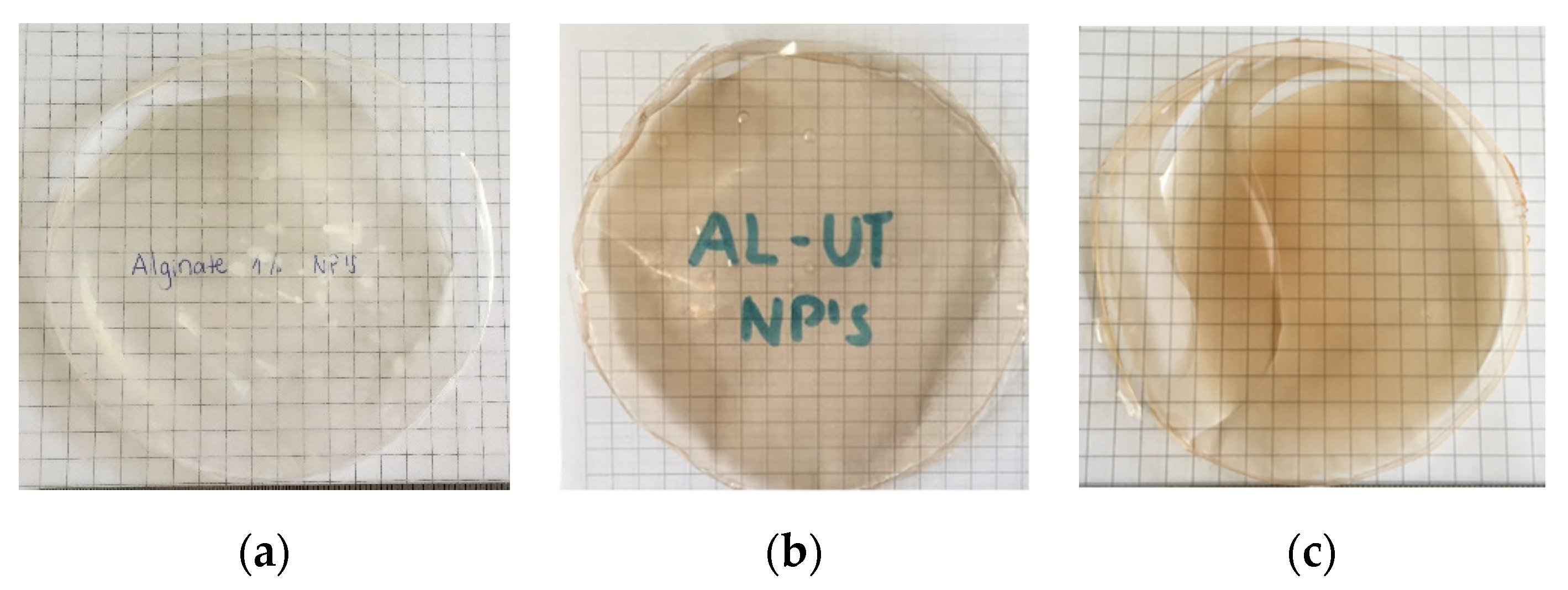 Proceedings 69 00024 g001