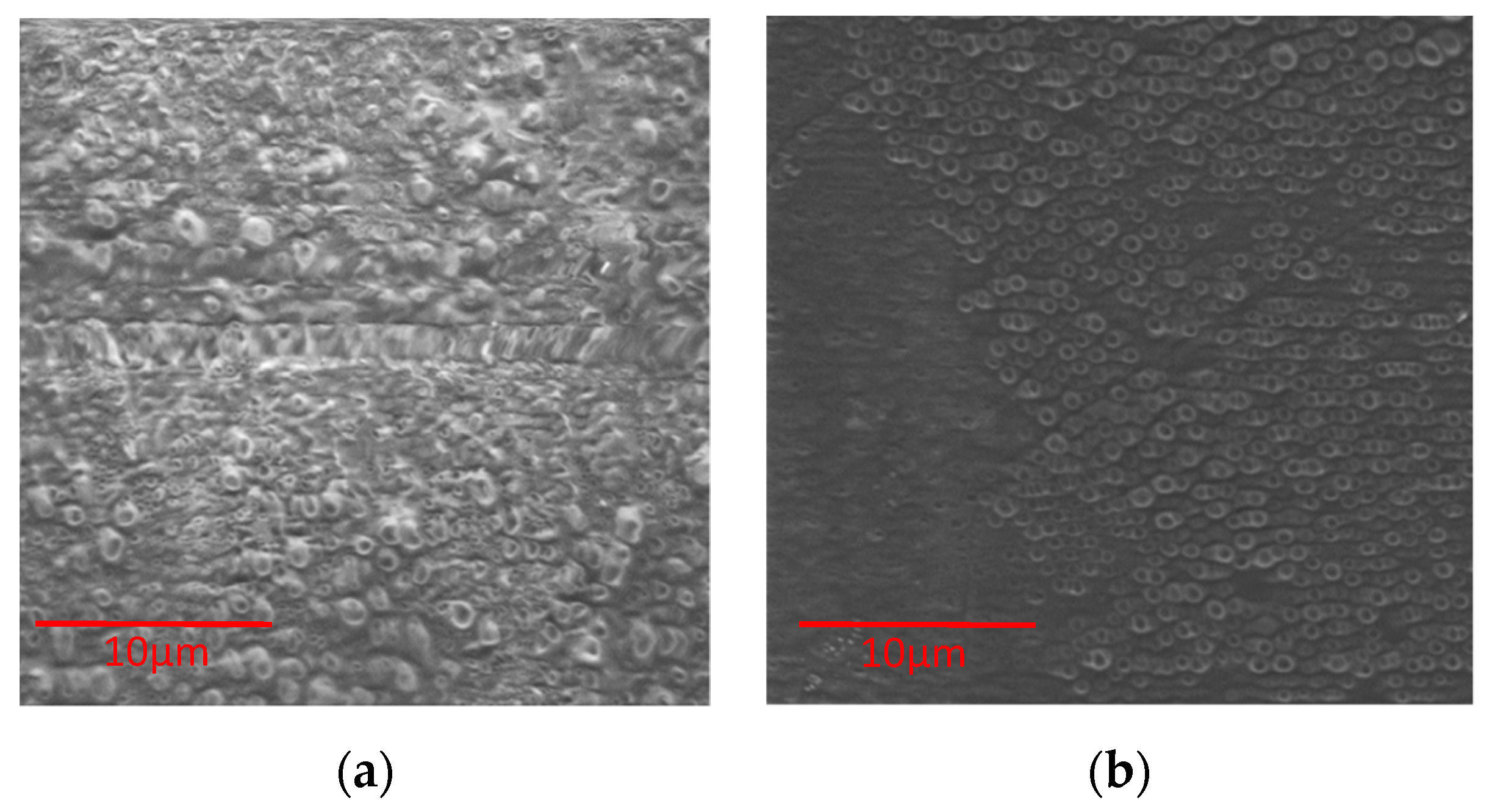 Proceedings 69 00024 g004