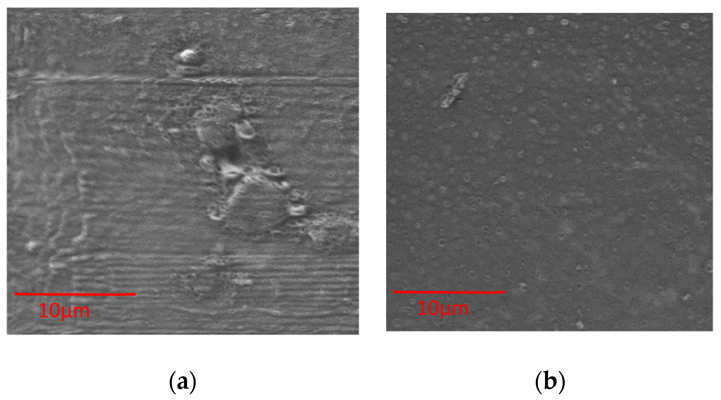Proceedings 69 00024 g005
