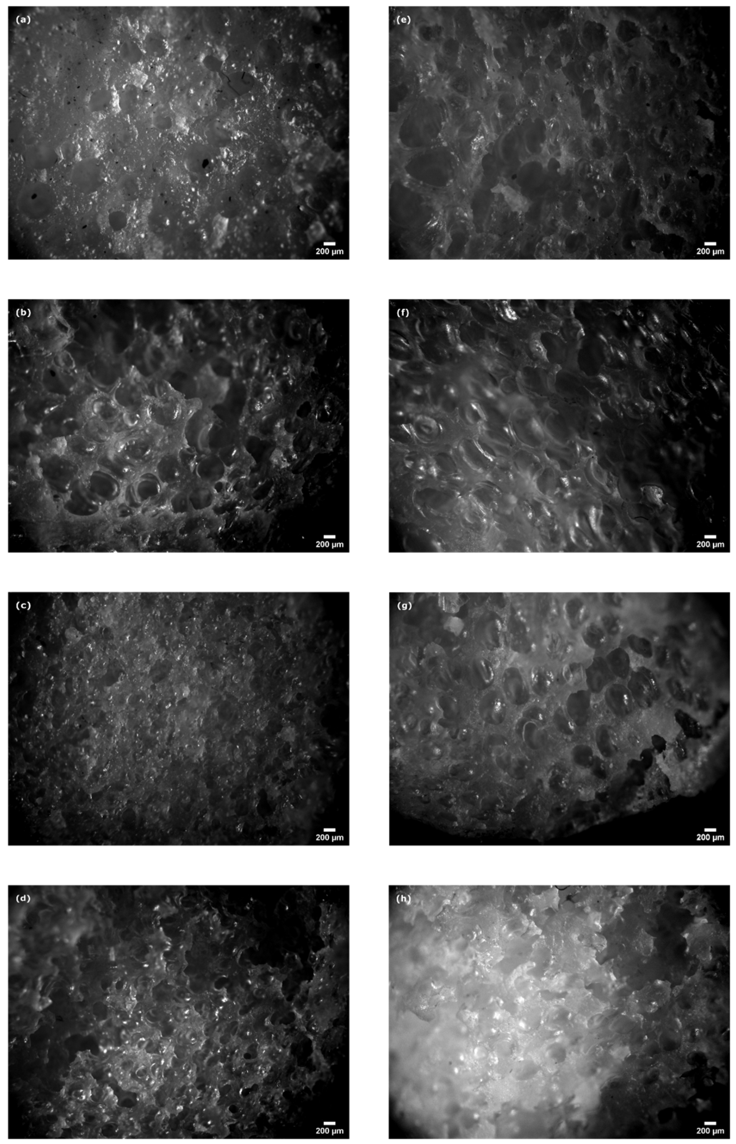Proceedings 69 00029 g002