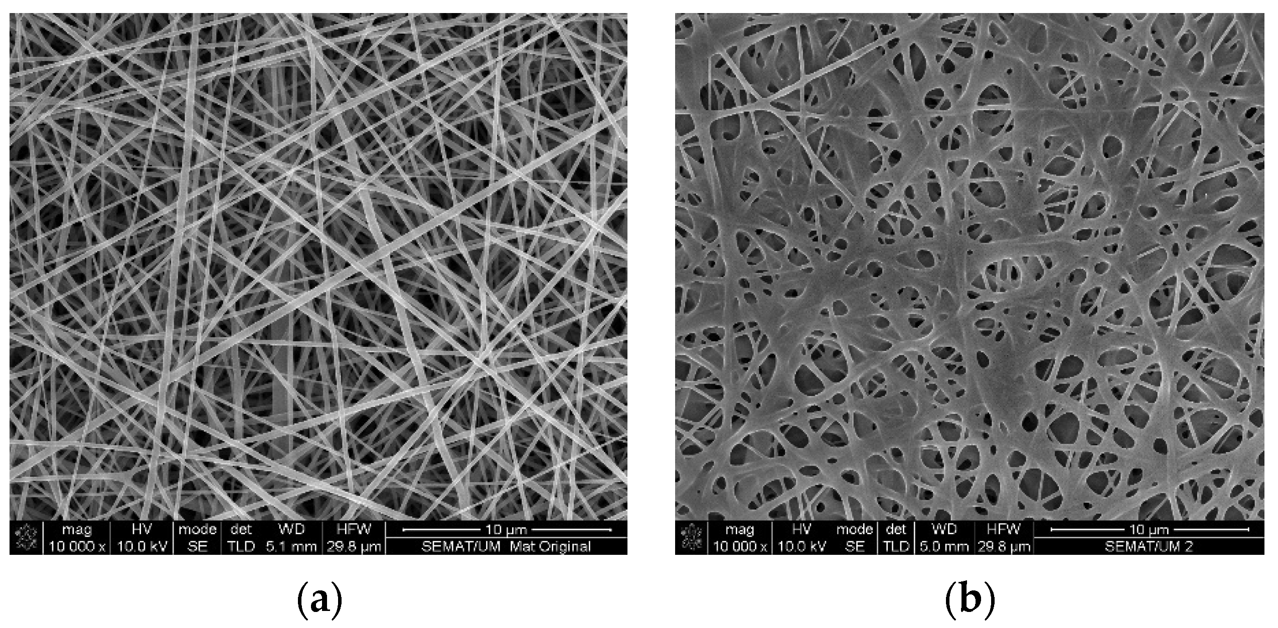Proceedings 69 00030 g001