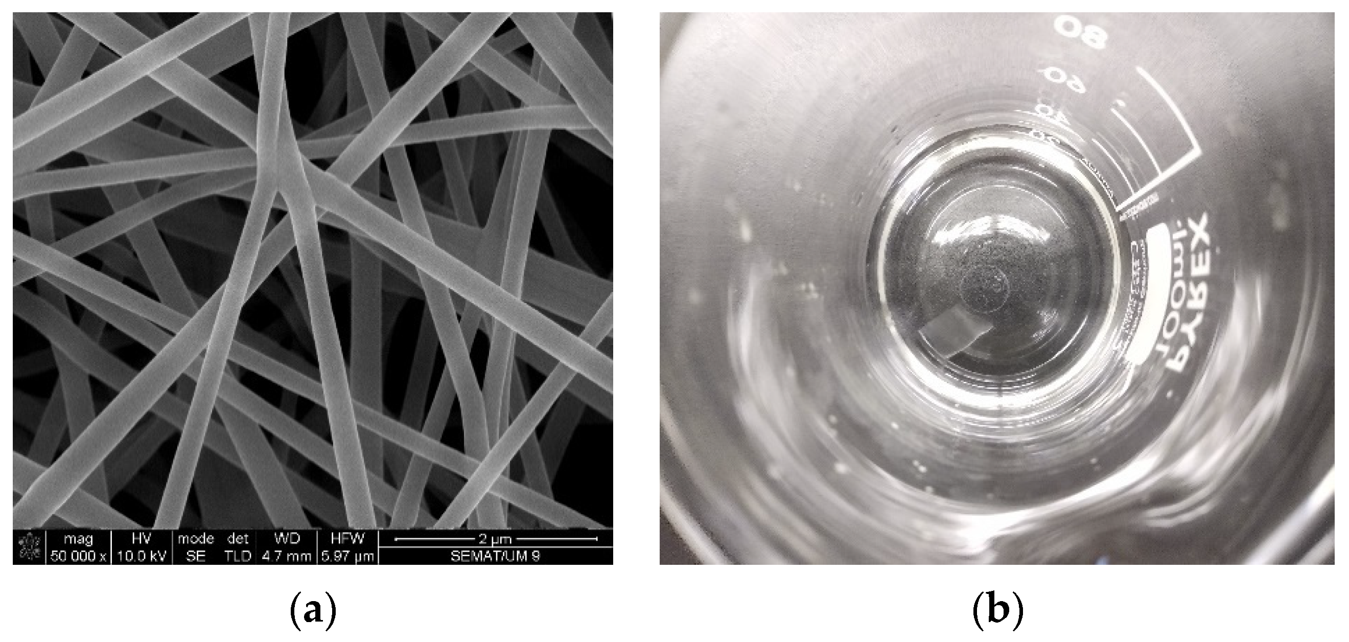 Proceedings 69 00030 g002