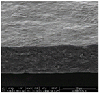 Proceedings 69 00030 i001