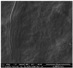 Proceedings 69 00030 i002